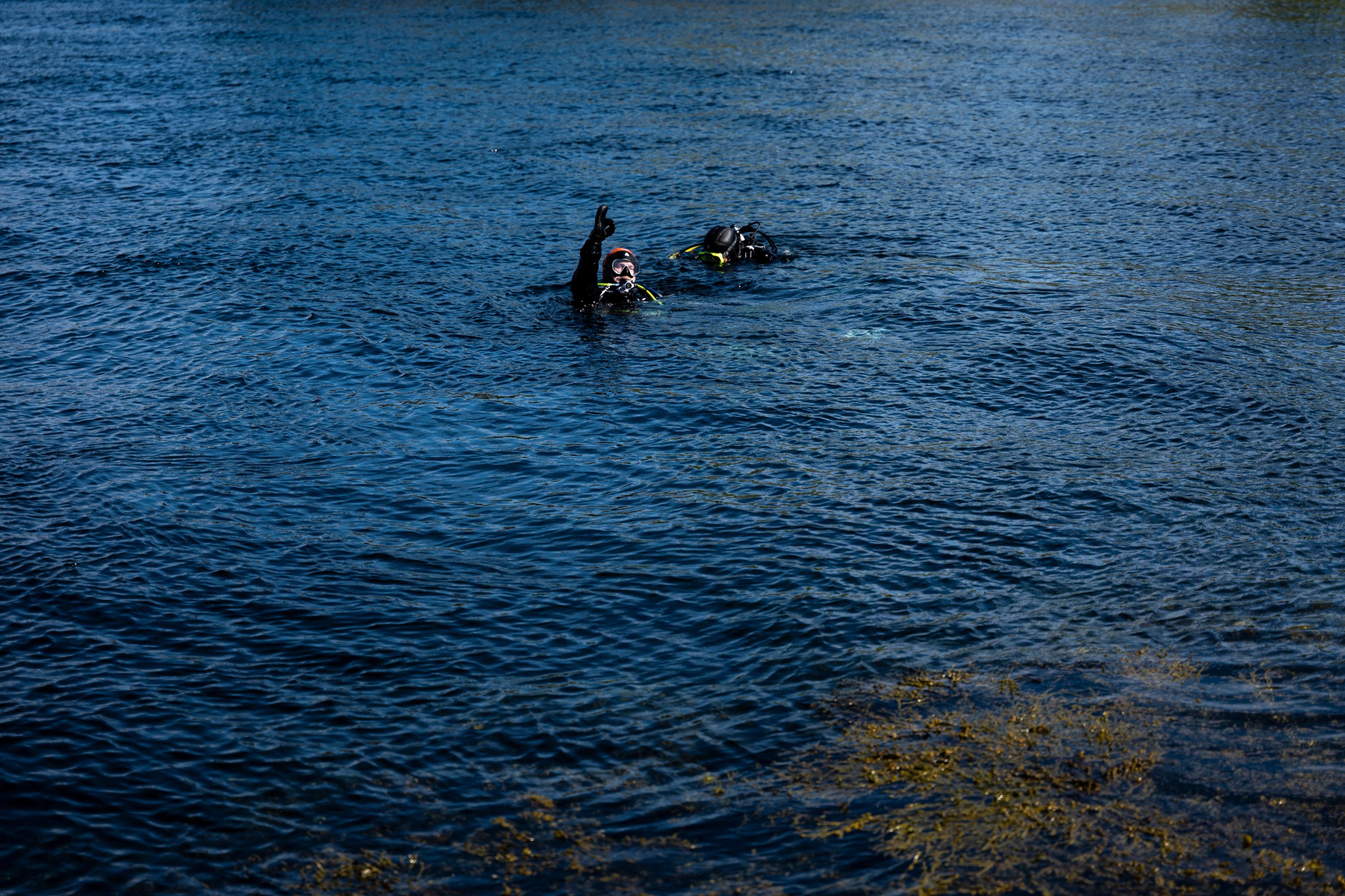 A person diving in Saltstraumen maelstrom in Northern Norway