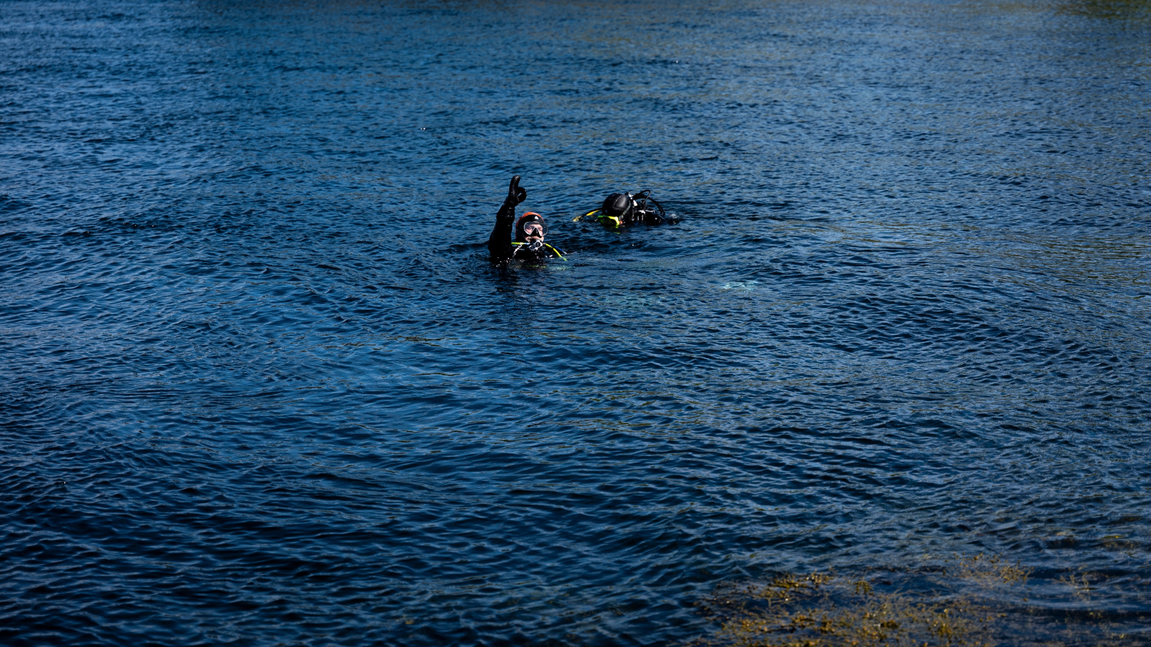 A person diving in Saltstraumen maelstrom in Northern Norway