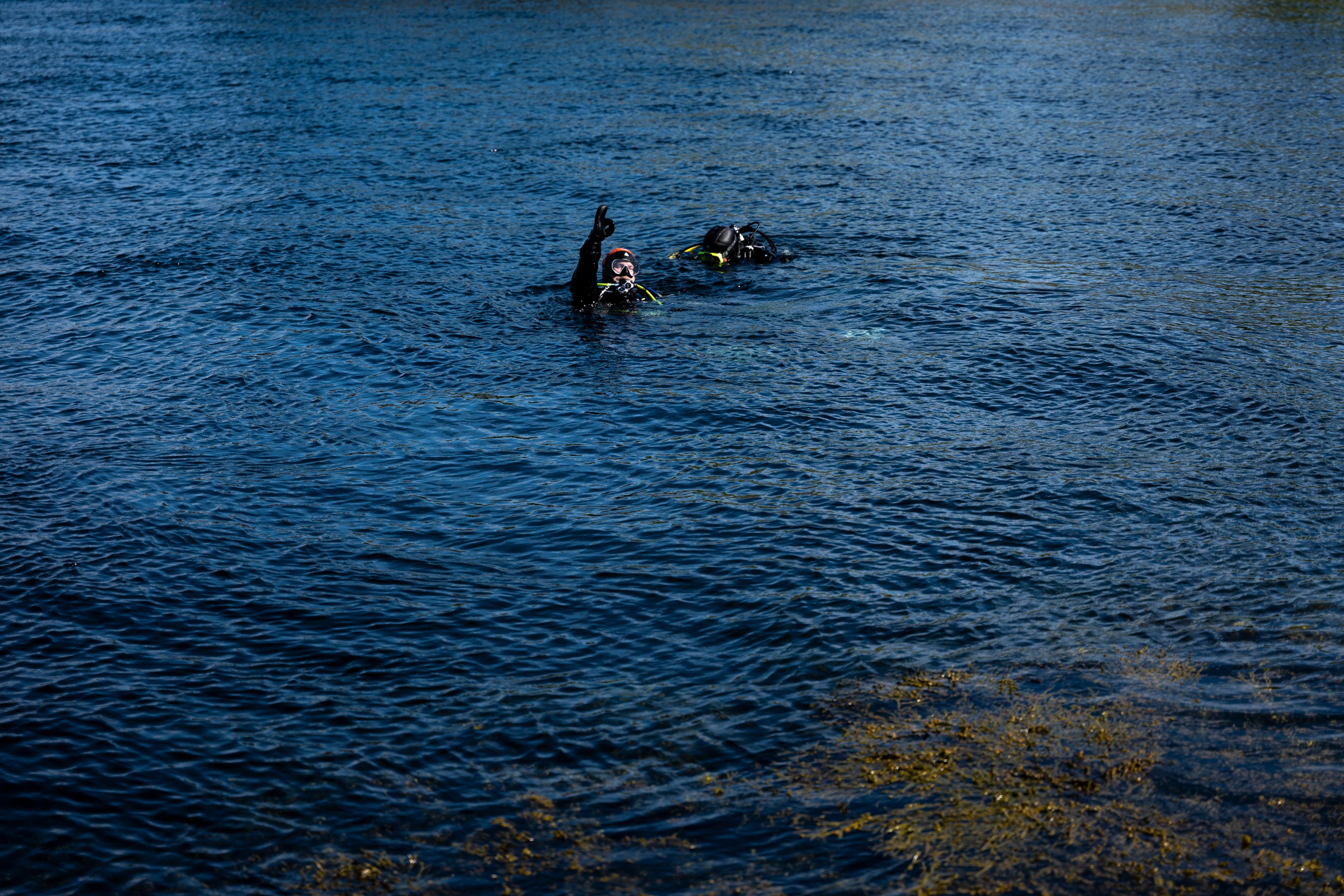 A person diving in Saltstraumen maelstrom in Northern Norway