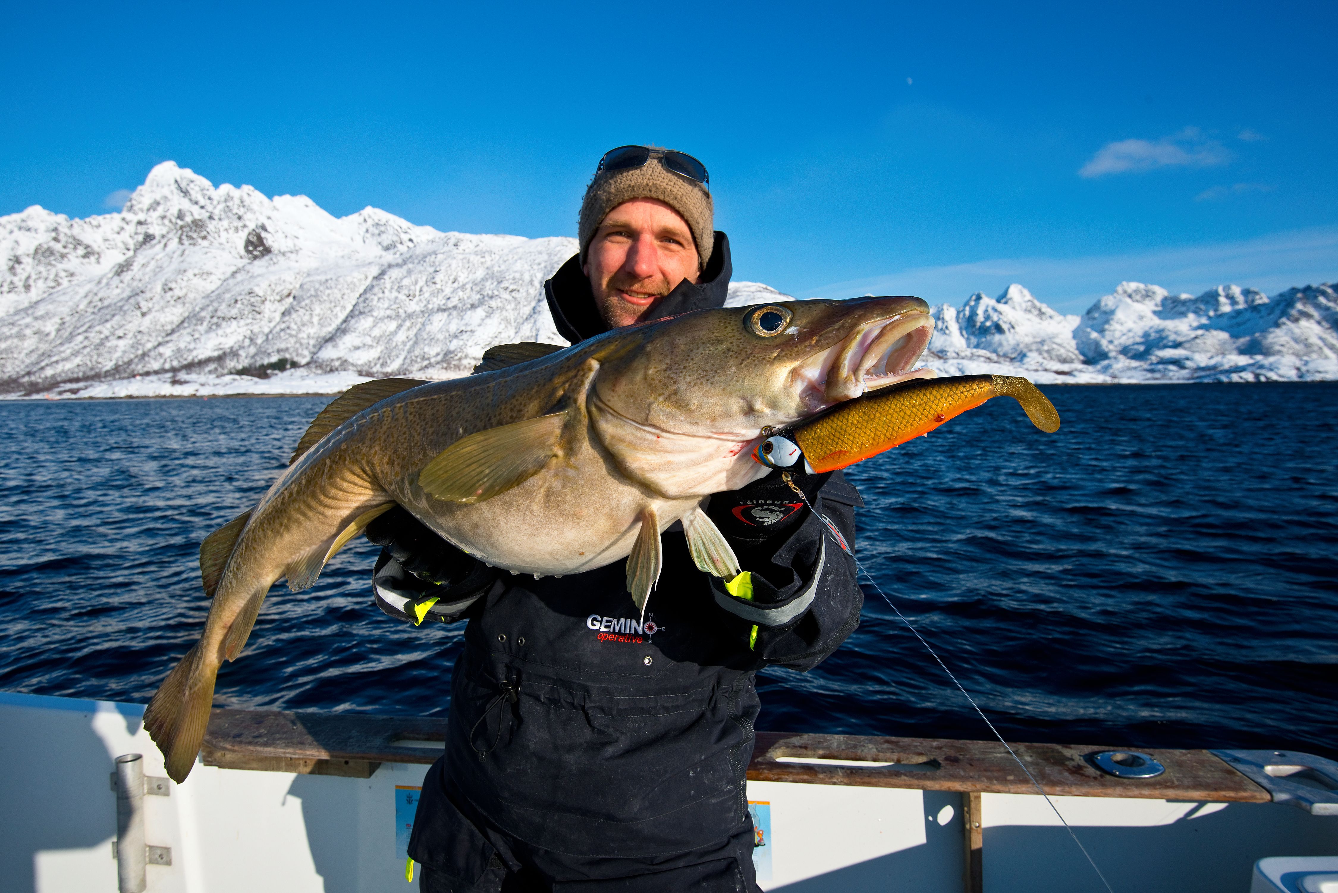 Pêcheur portant sa prise, dans les Lofoten, en Norvège du Nord