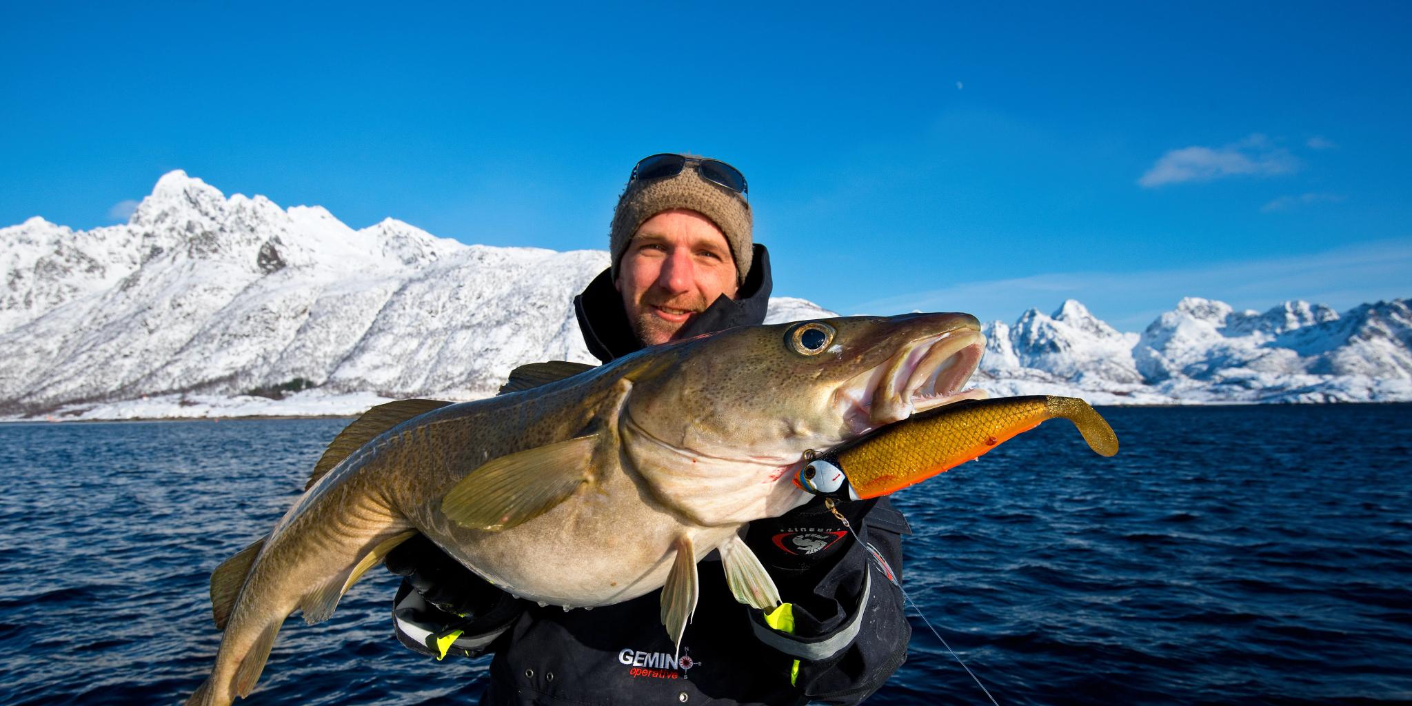 Un uomo mostra un merluzzo appena pescato alle Lofoten nella Norvegia settentrionale