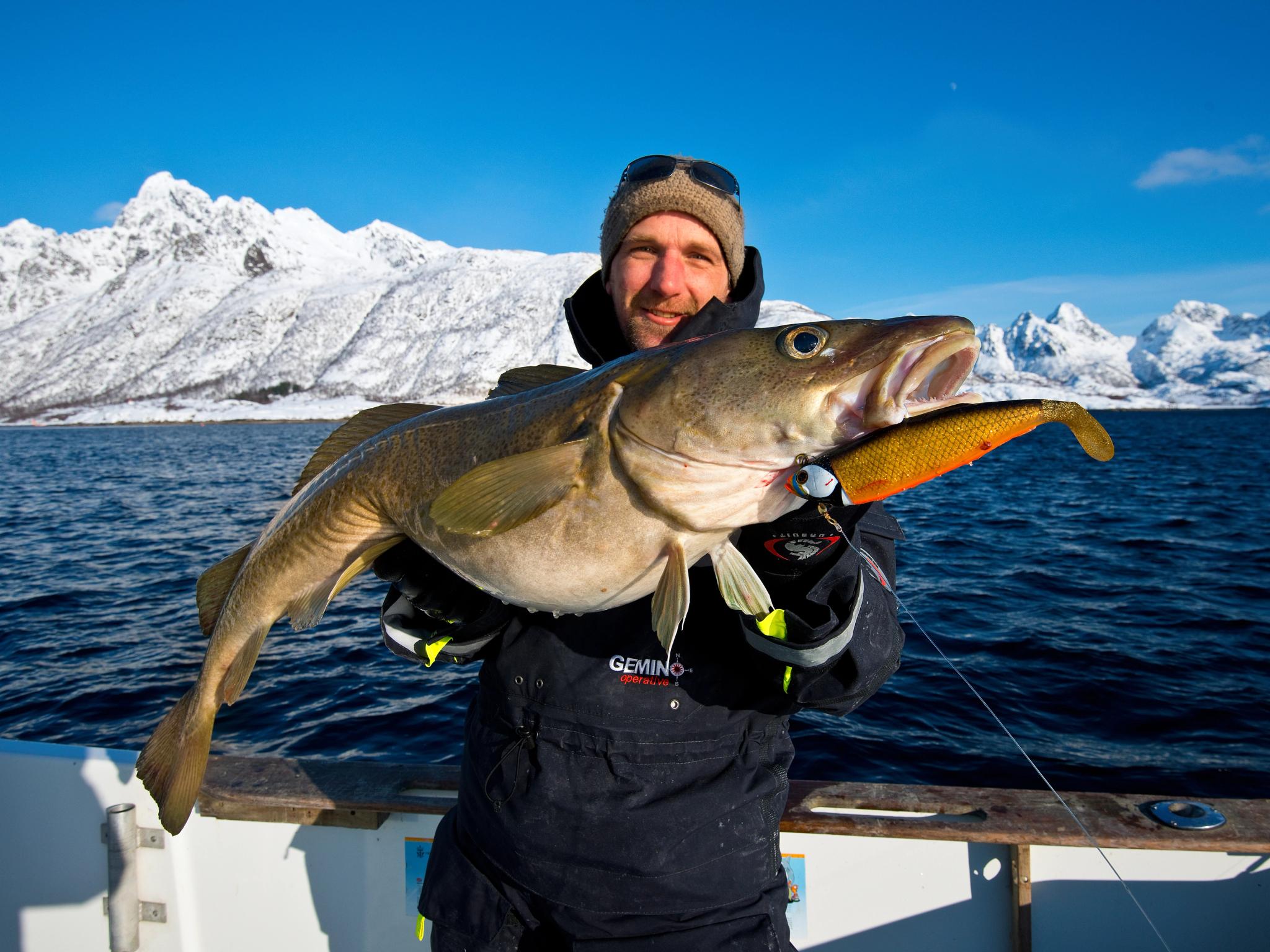 Pêcheur portant sa prise, dans les Lofoten, en Norvège du Nord