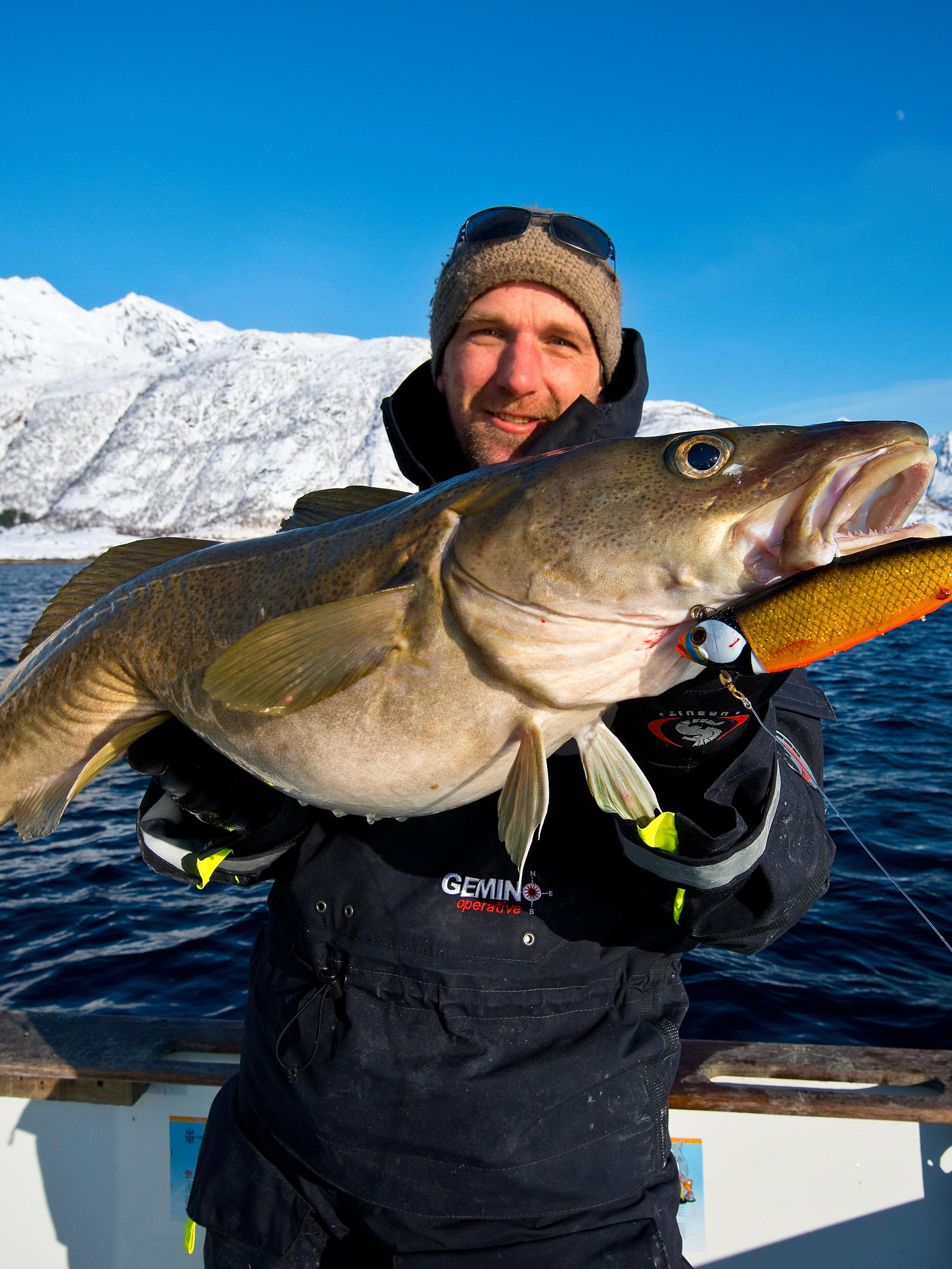 Pêcheur portant sa prise, dans les Lofoten, en Norvège du Nord