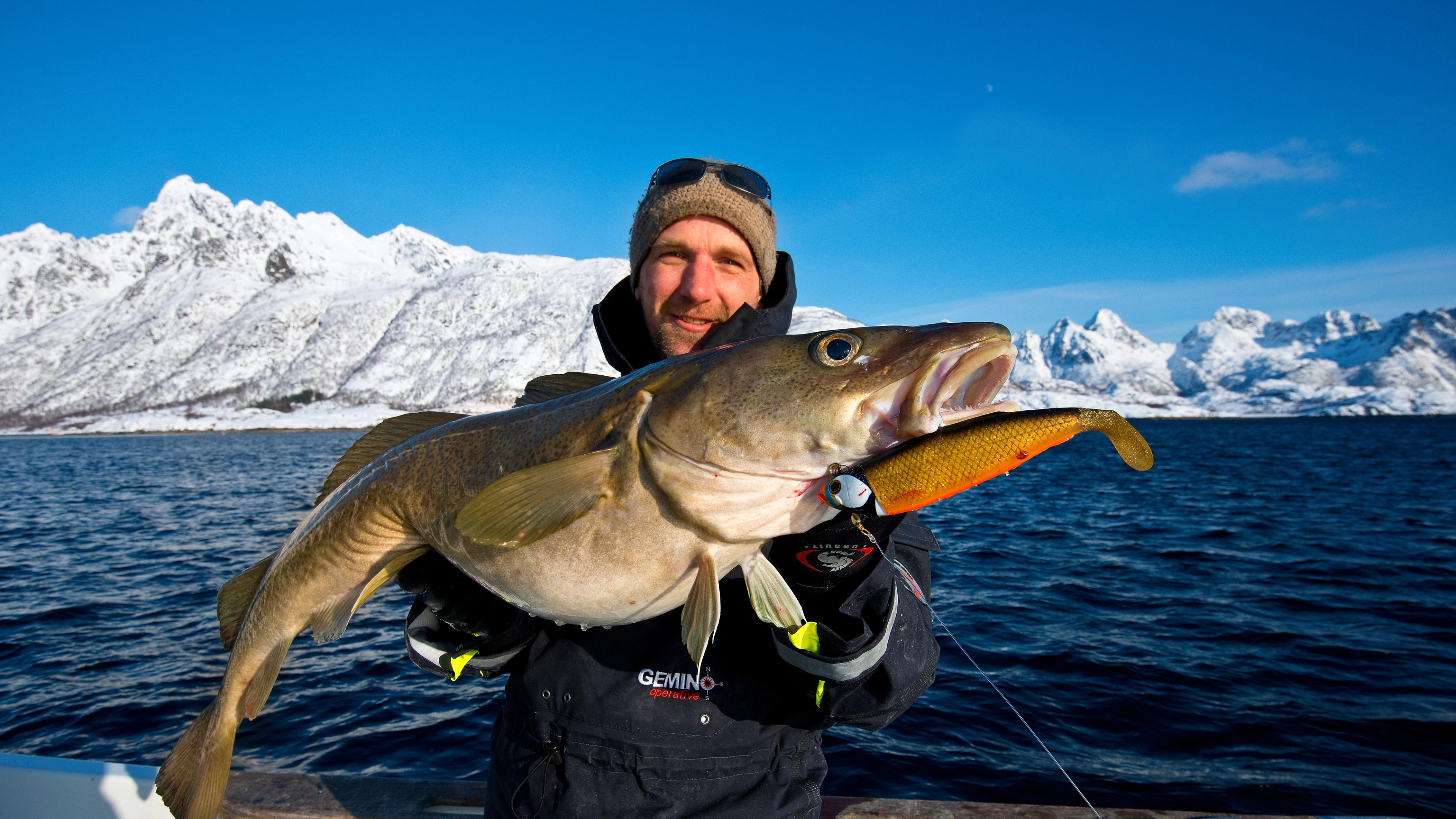 A man holding a newly caught cod in Lofoten in Northern Norway