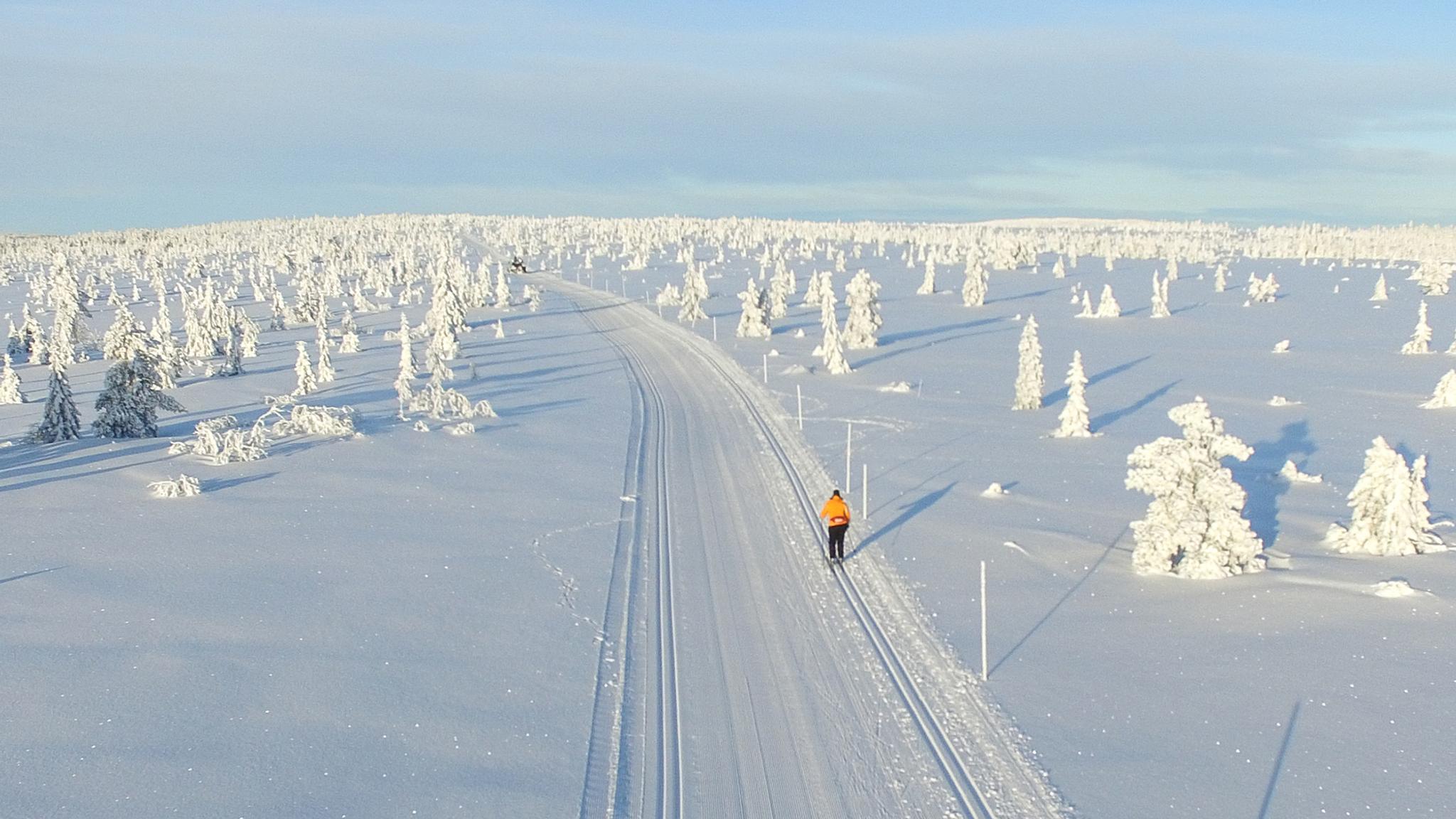 Cross-country skiing in Budor in the Hamar region, Eastern Norway