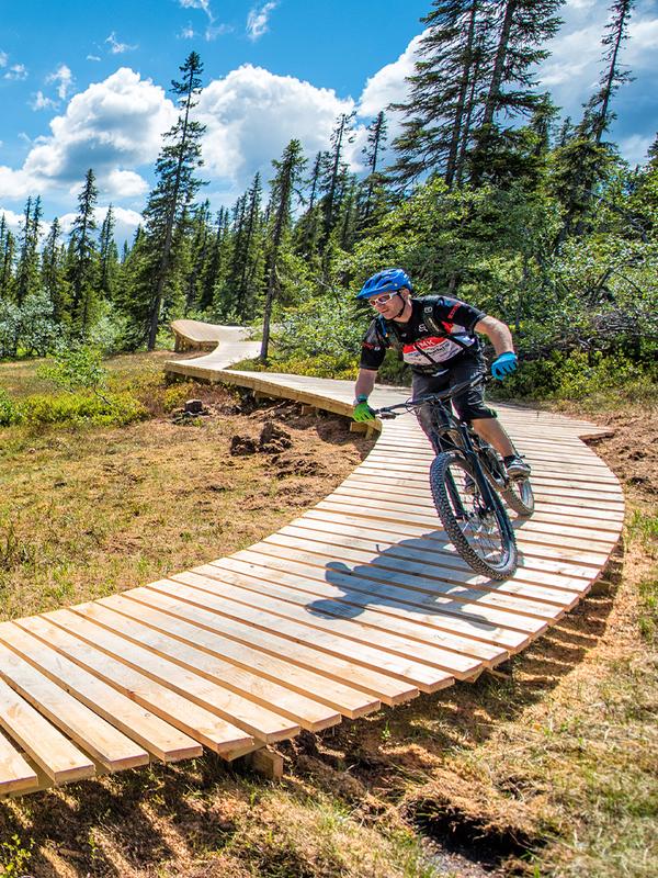Un grupo de personas montan en bicicleta de montaña en Trysil, en el Este de Noruega.