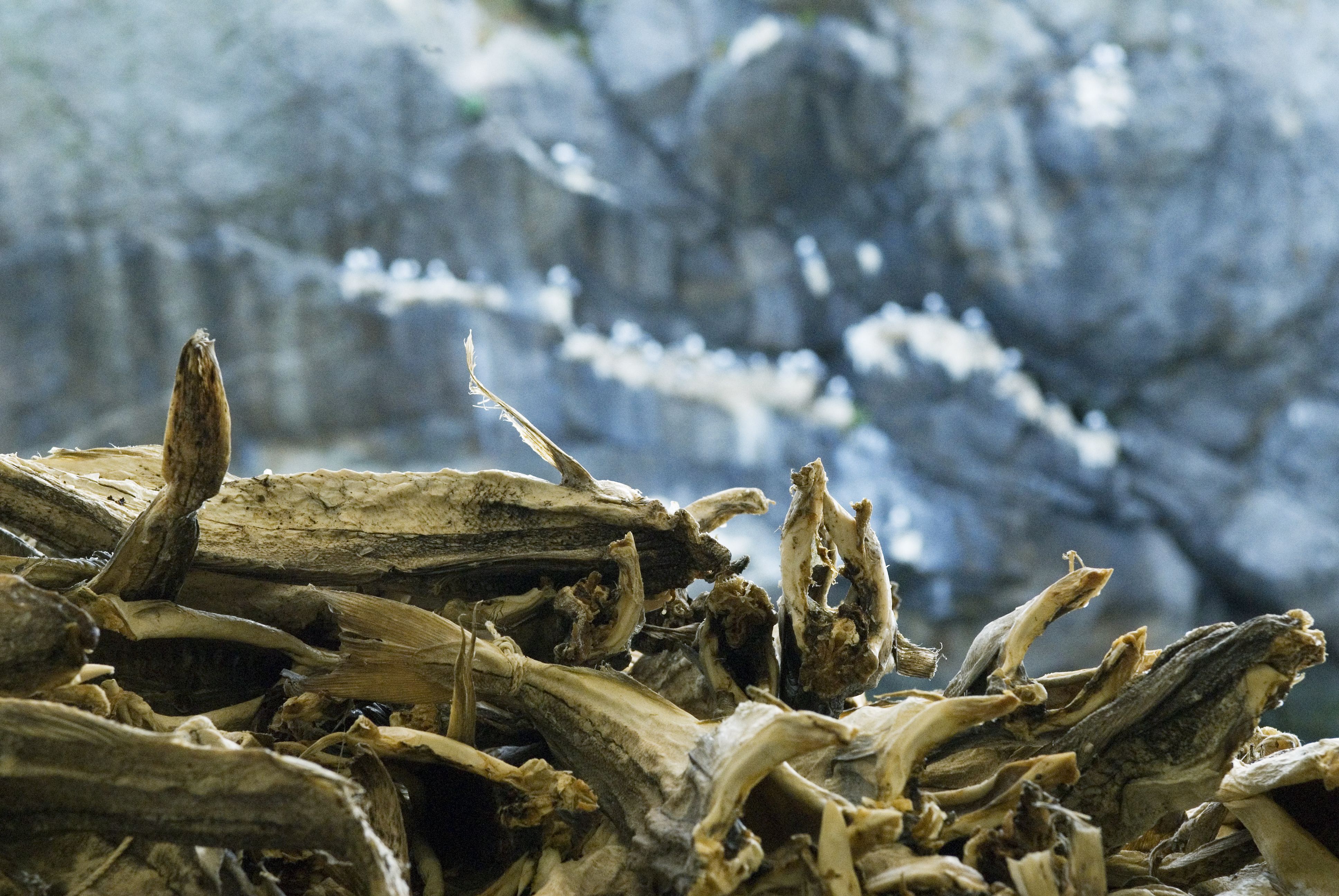 A batch of stockfish