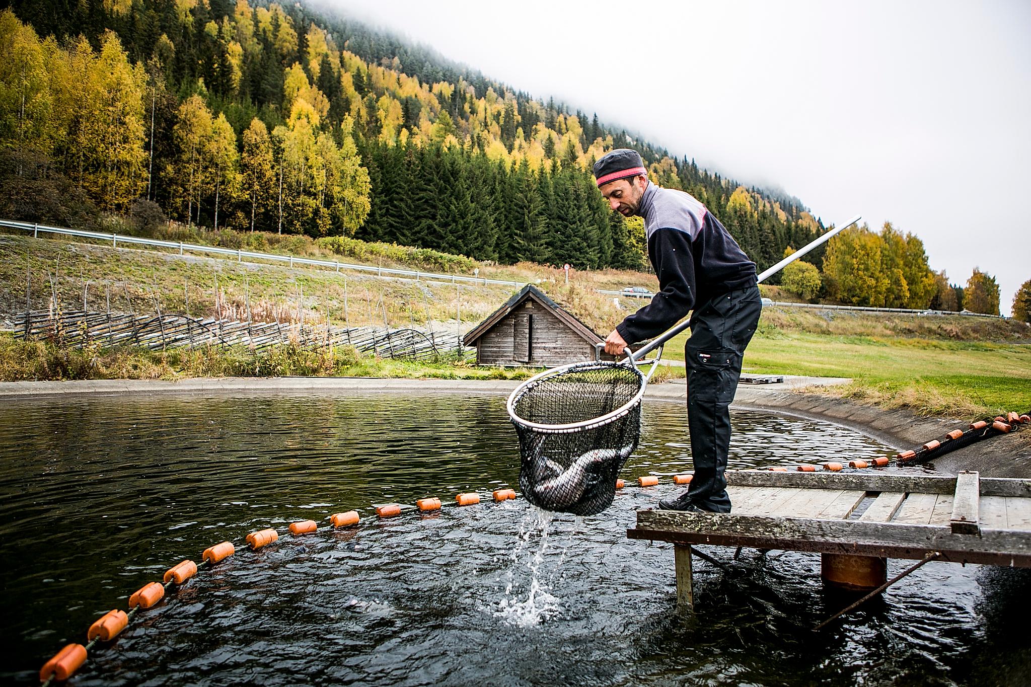 A man on a fish farm.