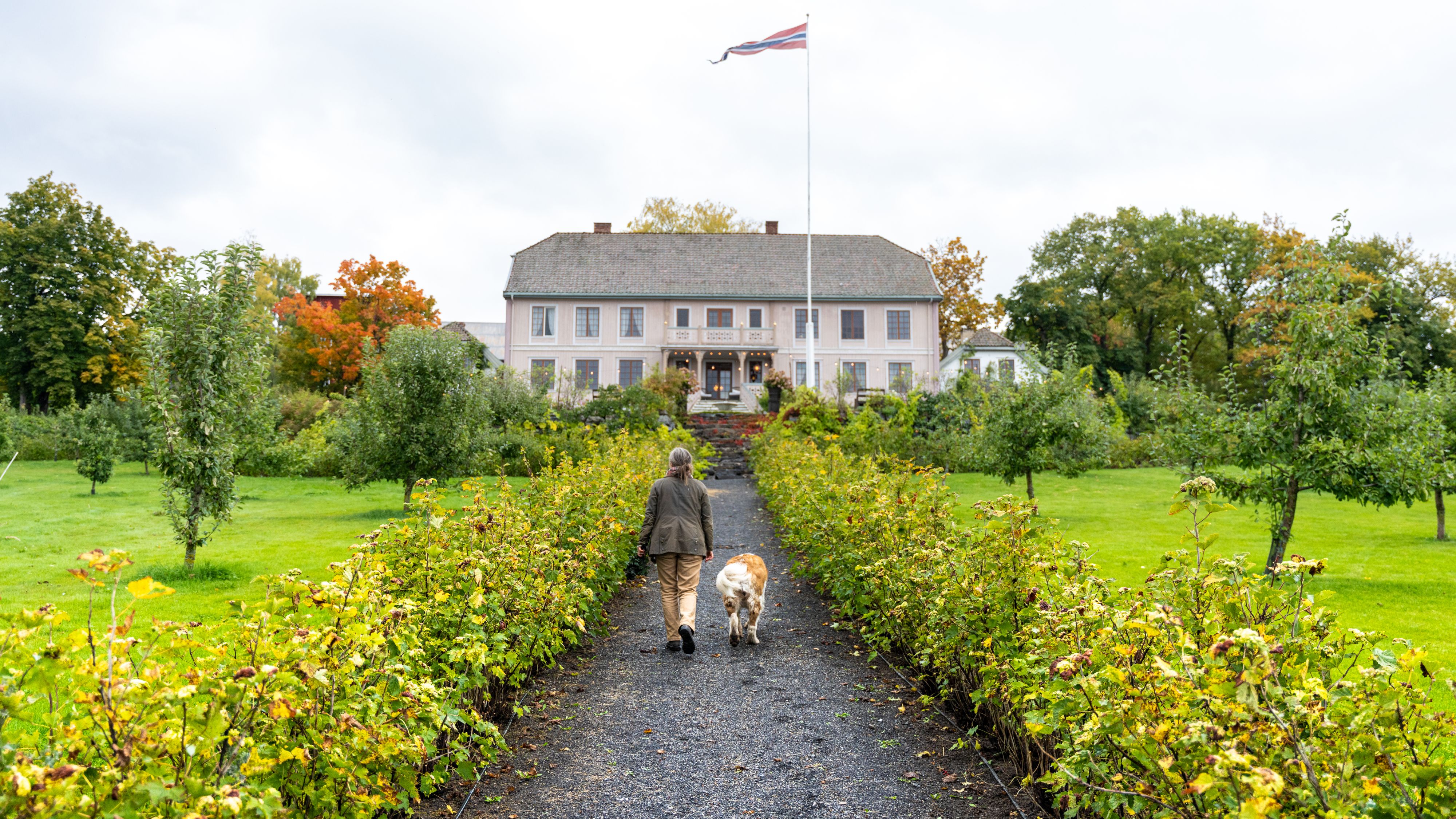 Eieren av Hovelsrud gård går en tur i hagen sammen med hunden sin, Nes, Østlandet, Norge.