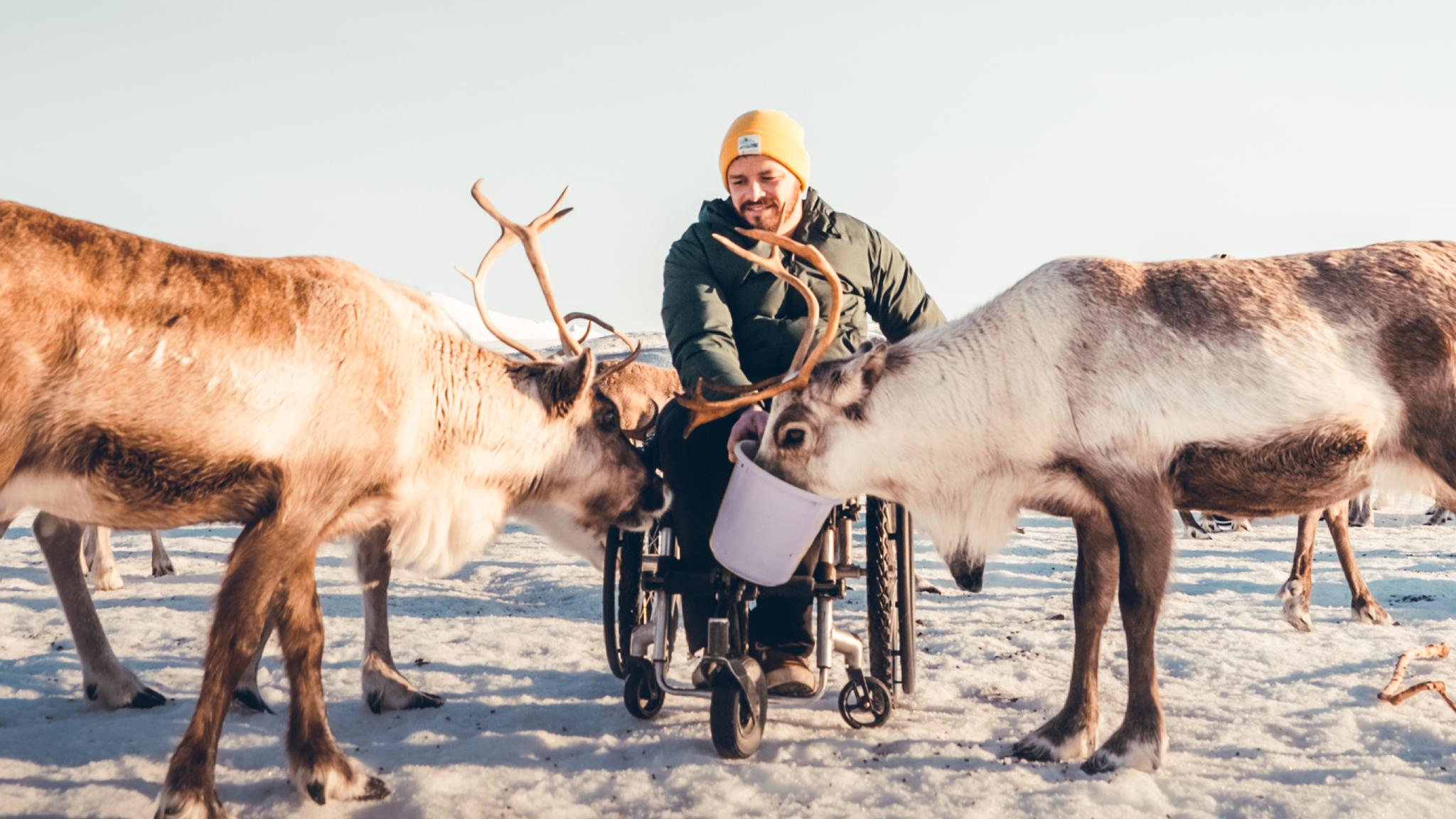 Pierre feeding reindeers