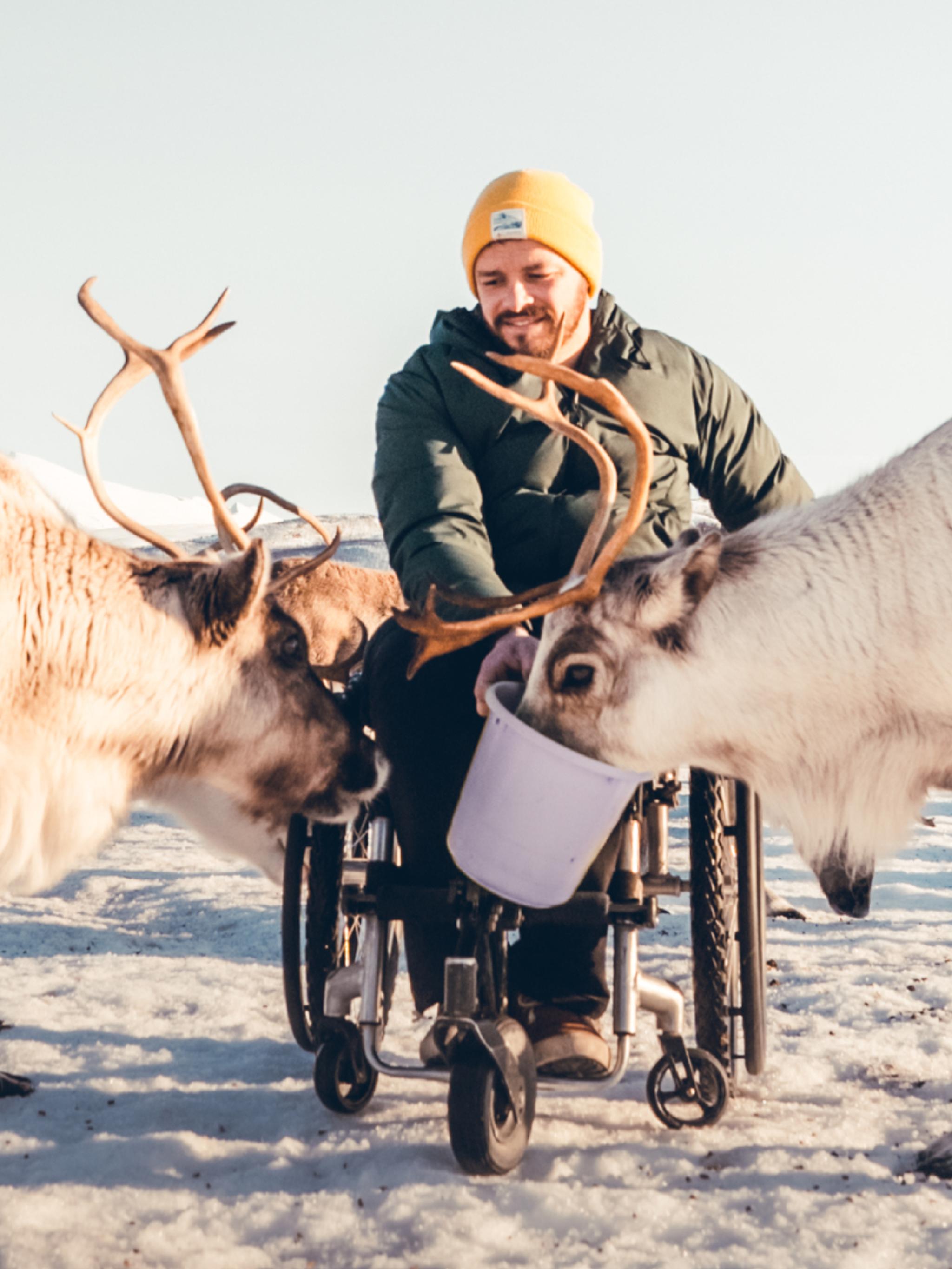 Pierre feeding reindeers