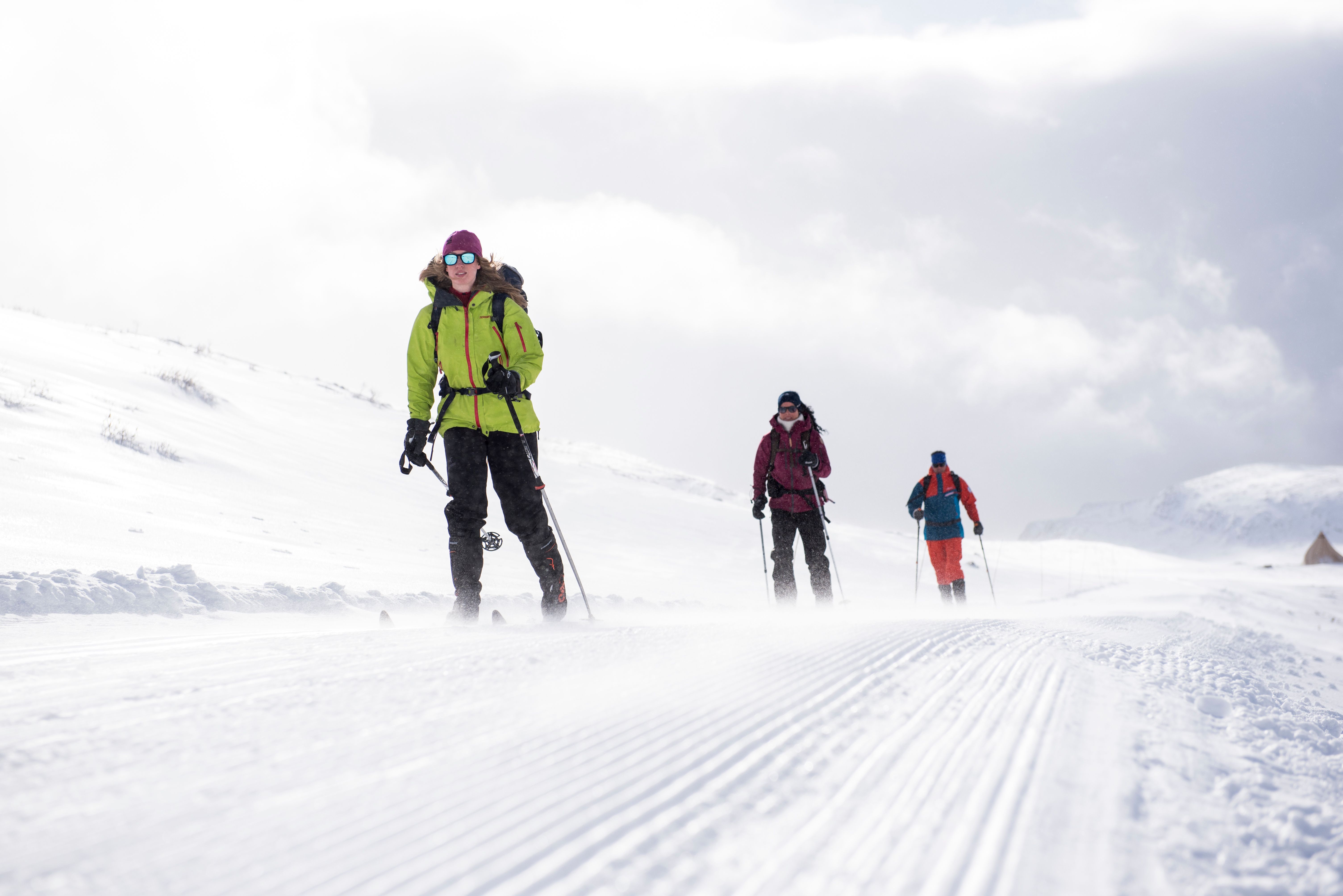 Three people cross-country skiing at Høvringen in Eastern Norway