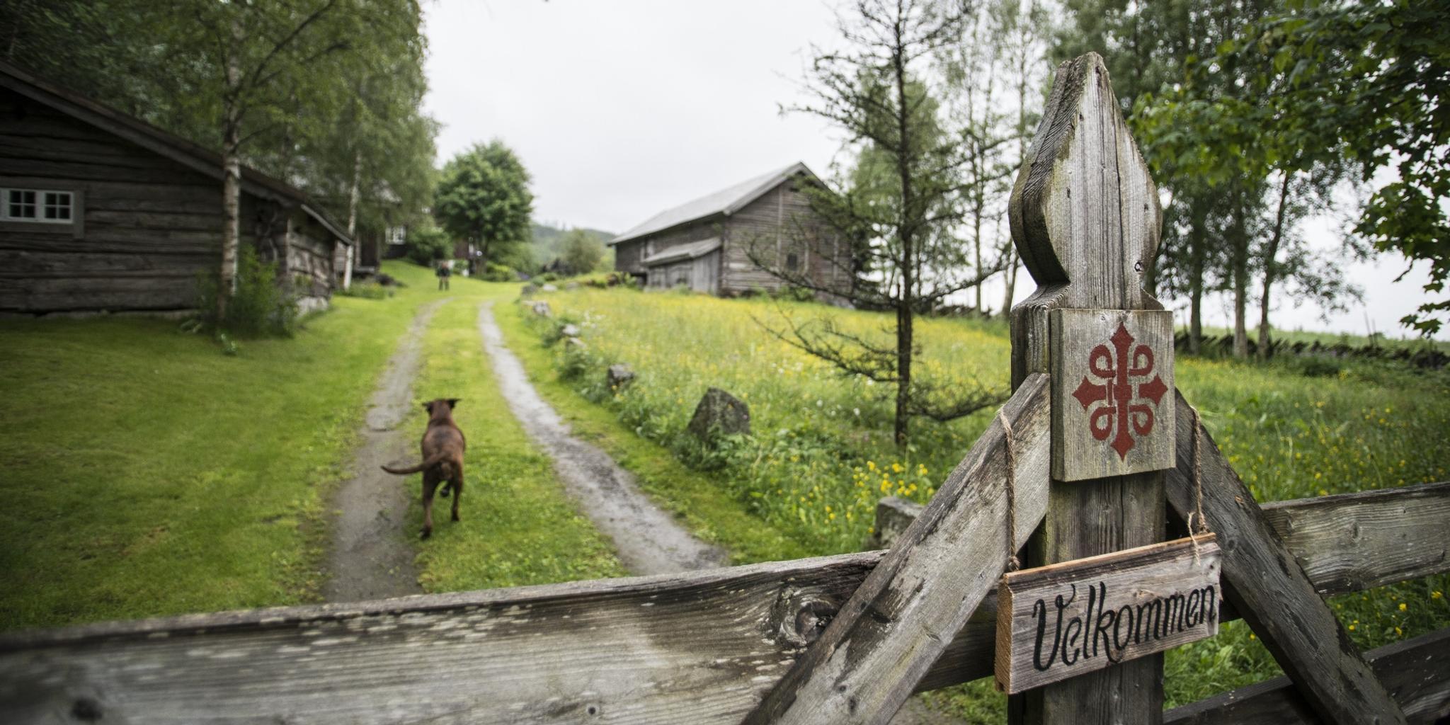 Borkerud pilgrim farm on the St. Olav Ways through Gudbrandsdalen, Eastern Norway