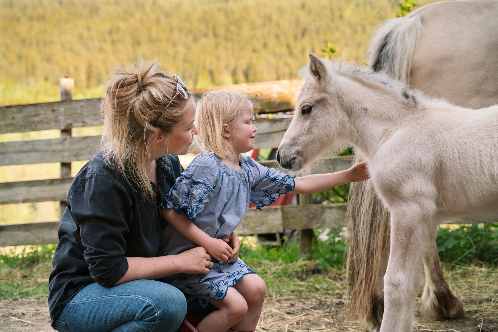 A girl and a women pets a horse, Norway.