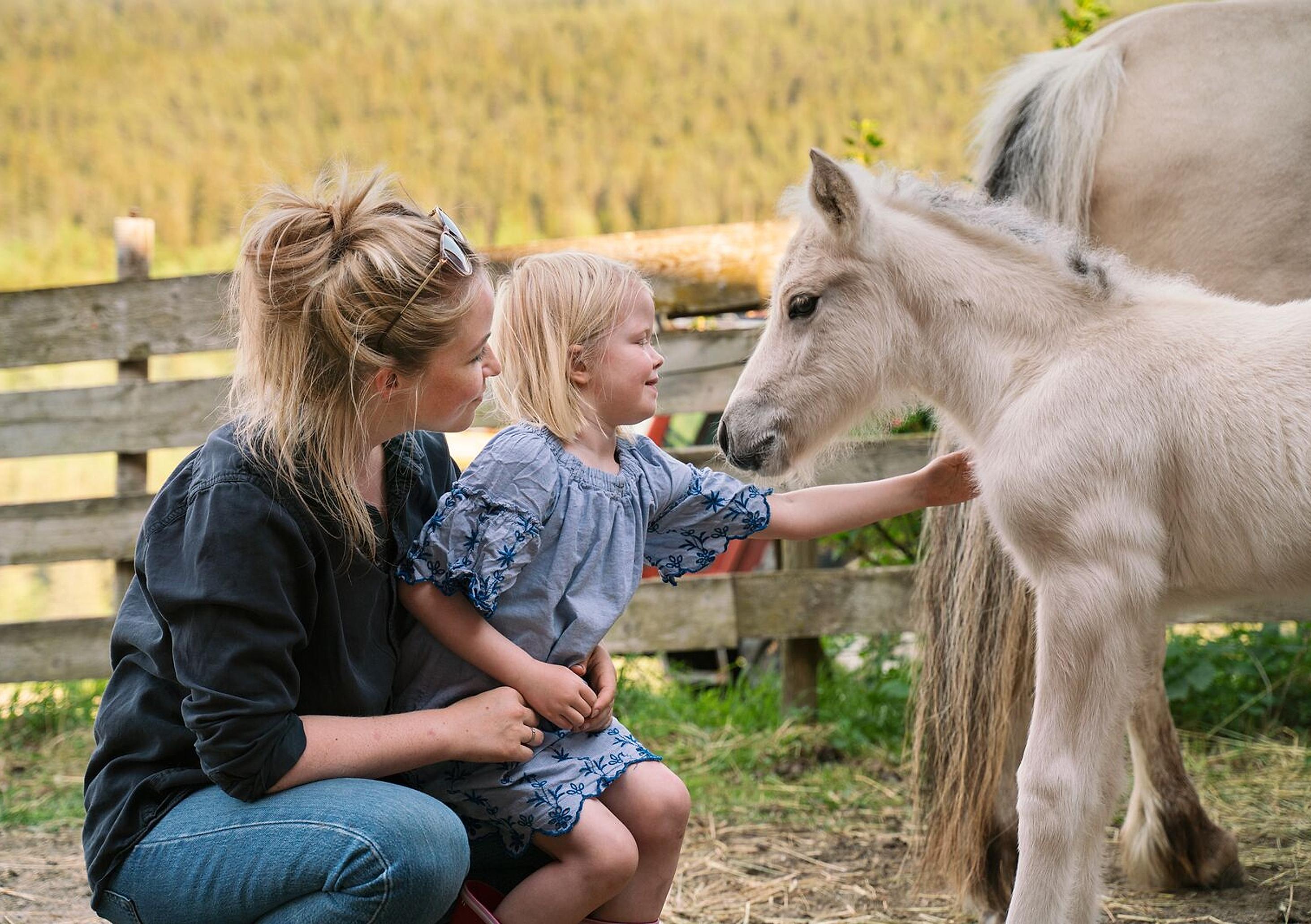 En jente og en kvinne klapper et føll, Norge.
