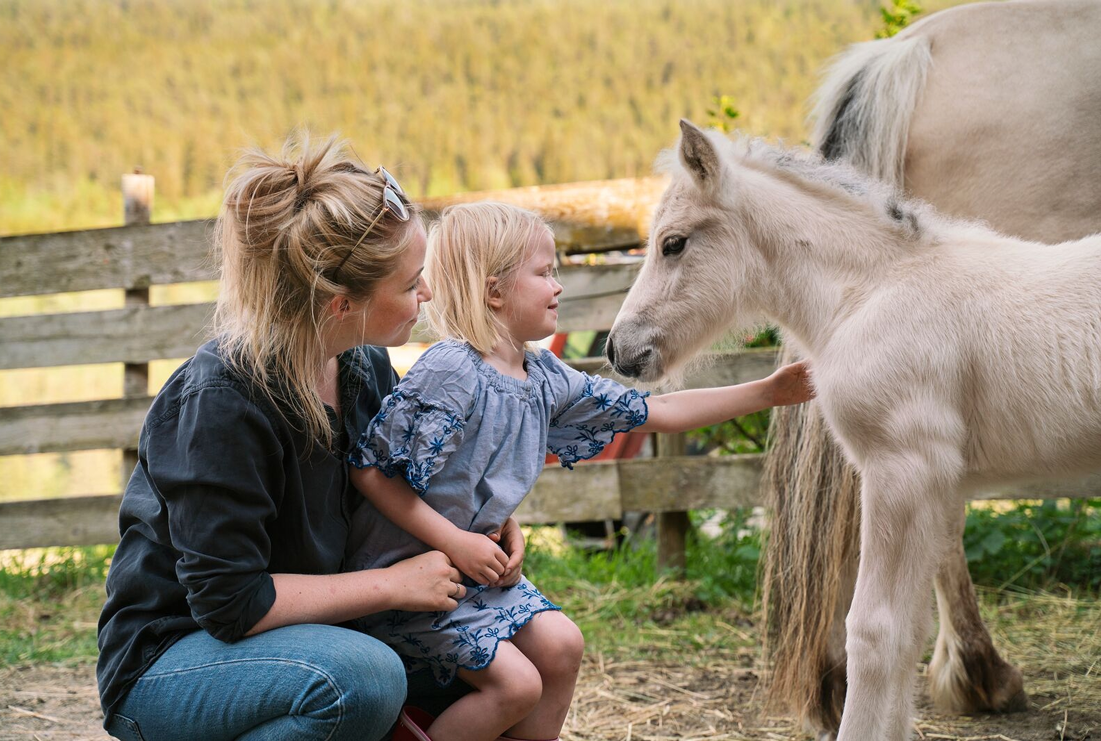 A girl and a women pets a horse, Norway.