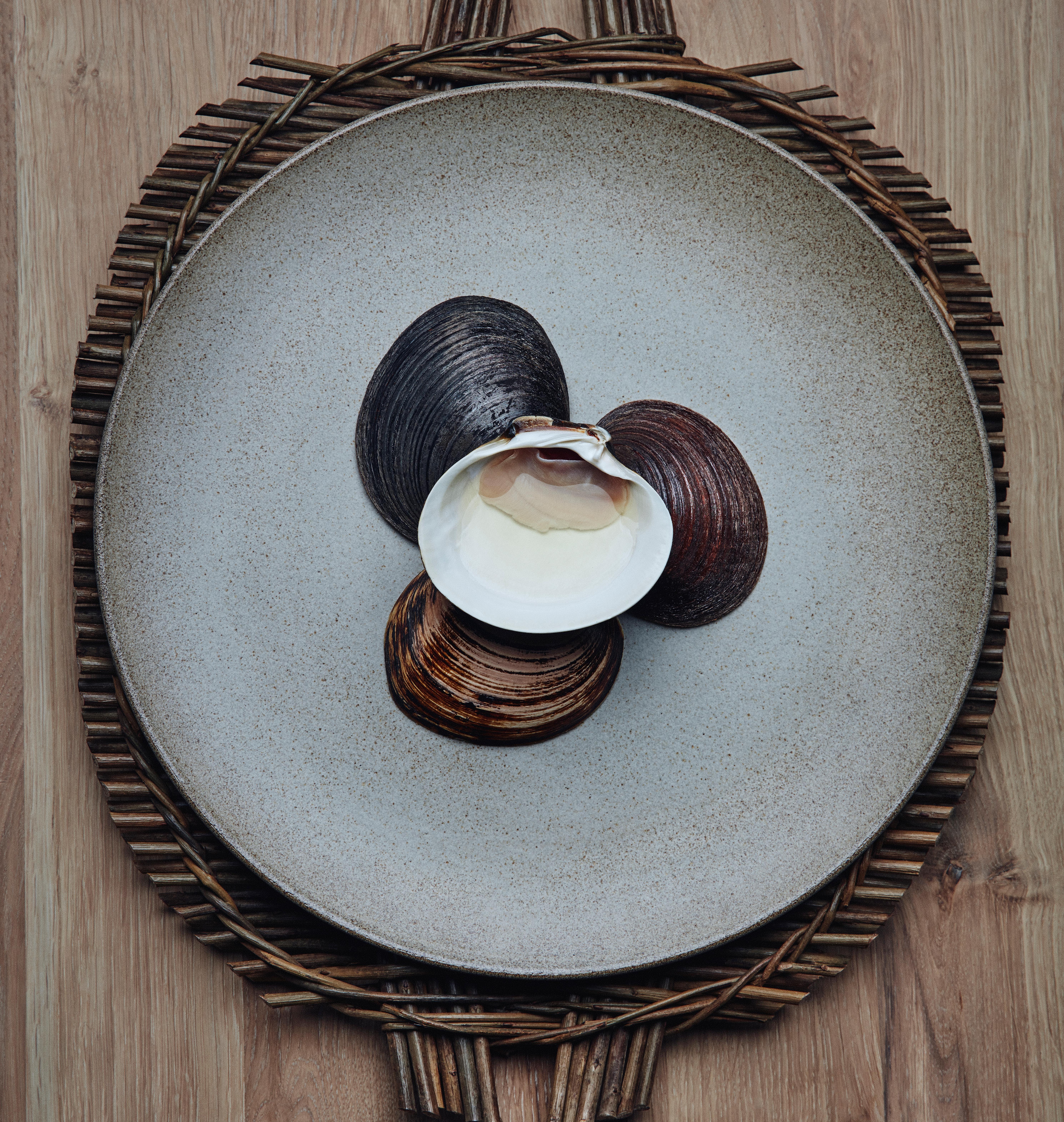 Food from restaurant Under, Southern Norway.