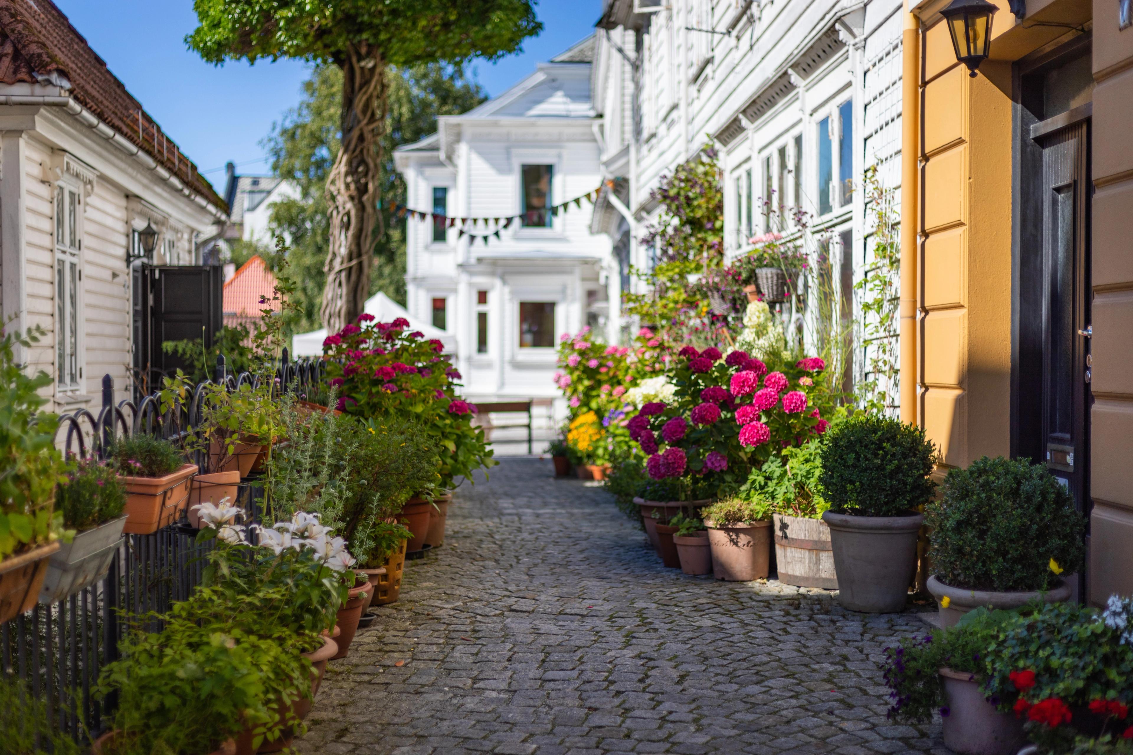 Flowery cobblestone street lined with historic buildings