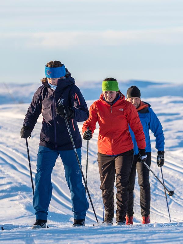 Cross-country skiers in Valdres, Eastern Norway