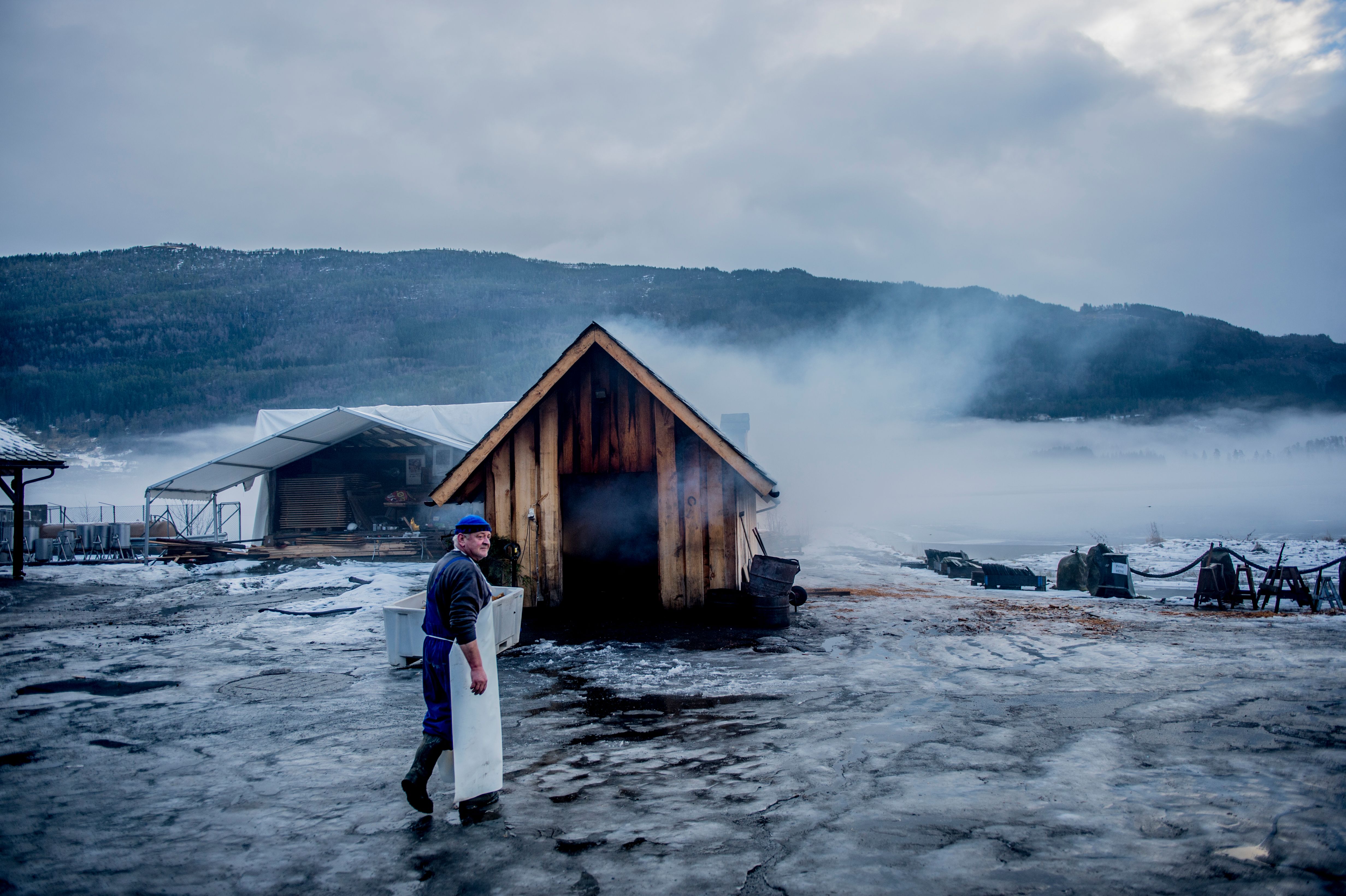 A man on his way to make smalahove (sheep's head) at Smalahovetunet in Voss, Fjord Norway