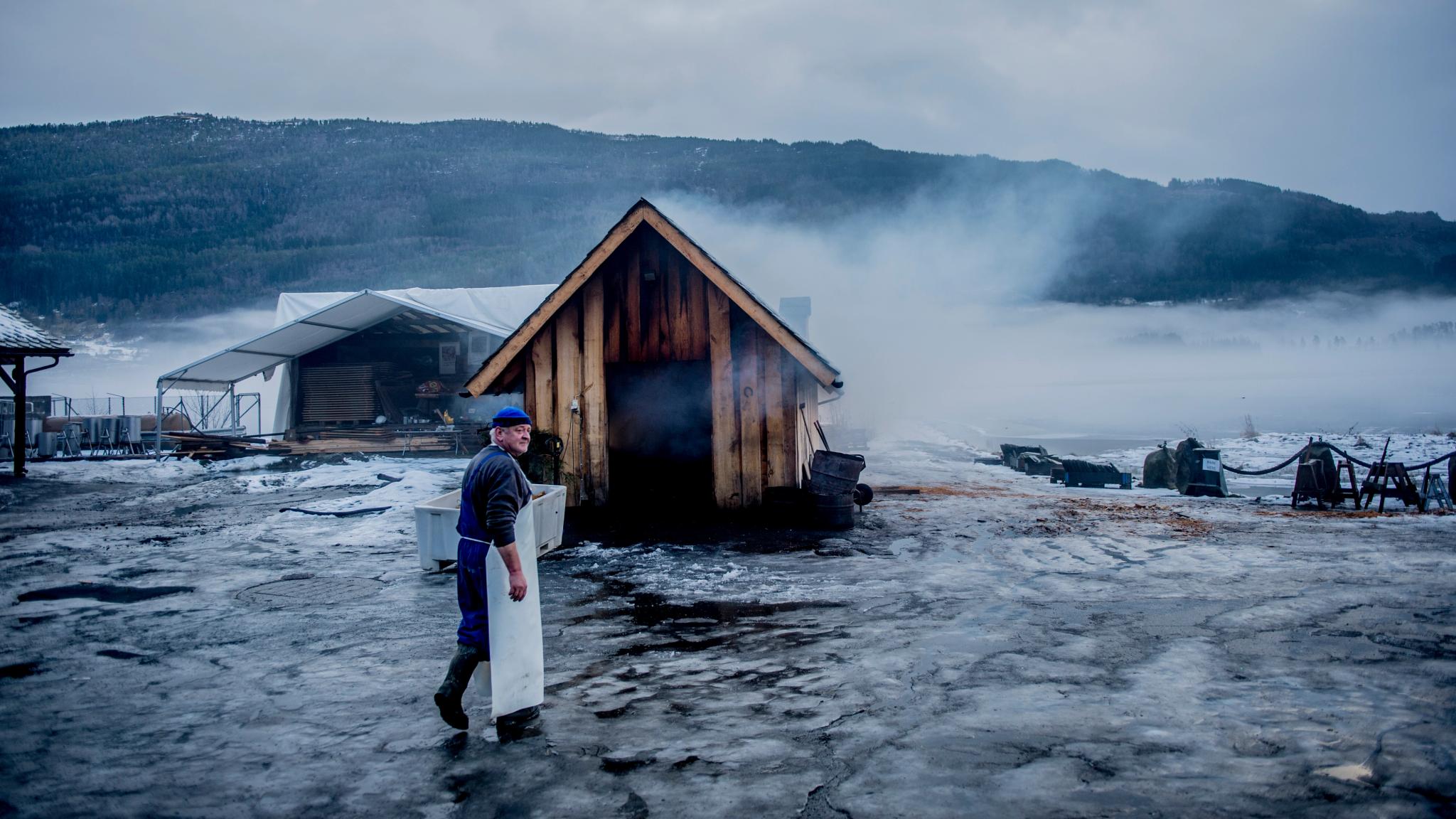 A man on his way to make smalahove (sheep's head) at Smalahovetunet in Voss, Fjord Norway