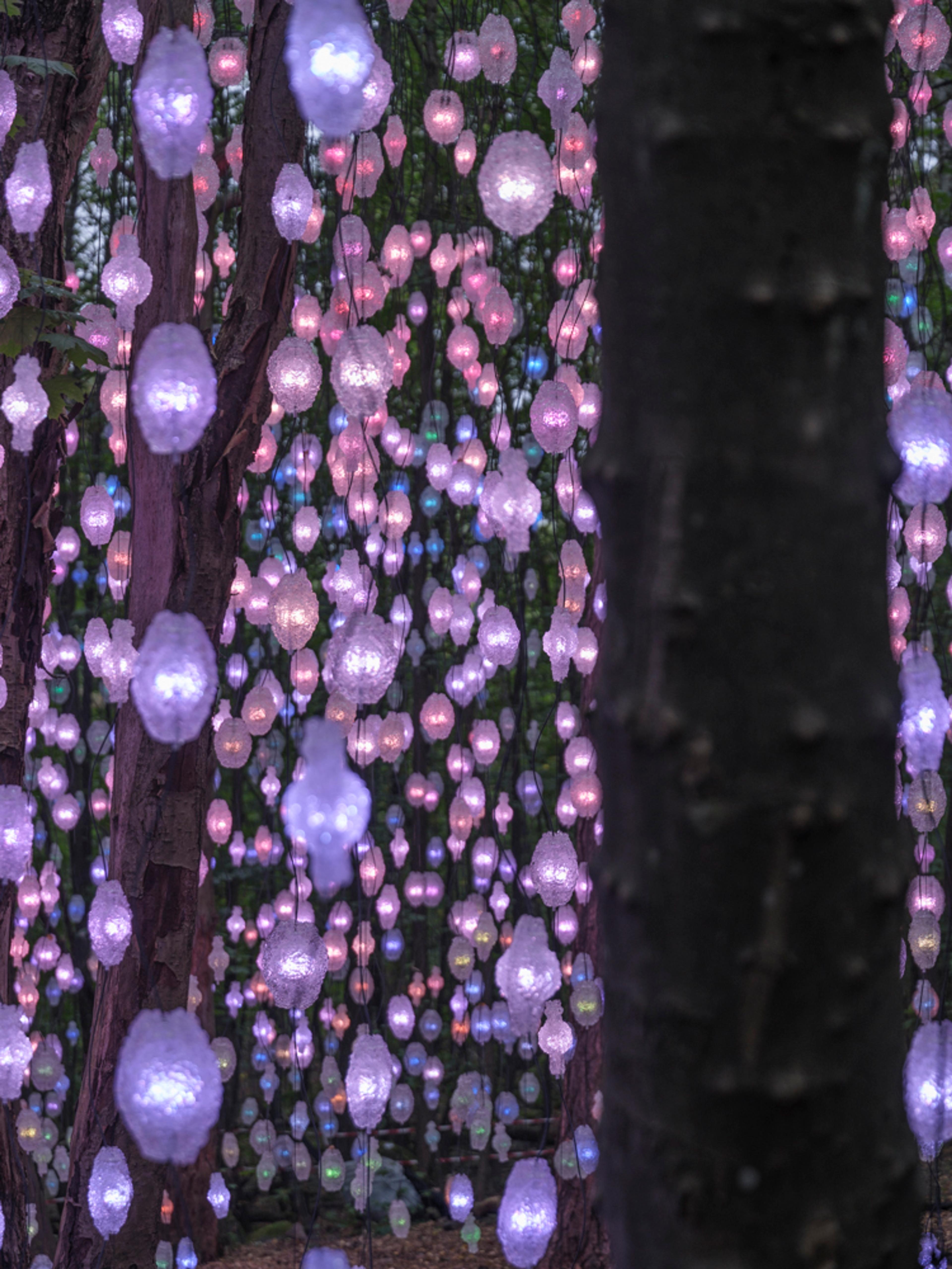 Pipilotti Rist: Nordic Pixel Forest, 2024