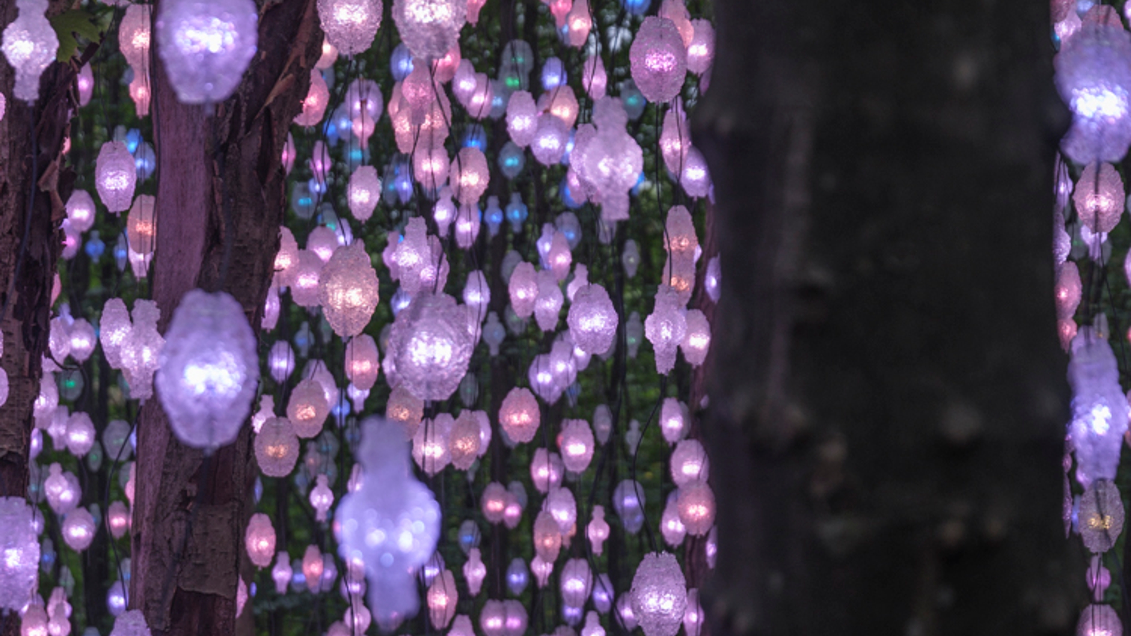 Pipilotti Rist: Nordic Pixel Forest, 2024
