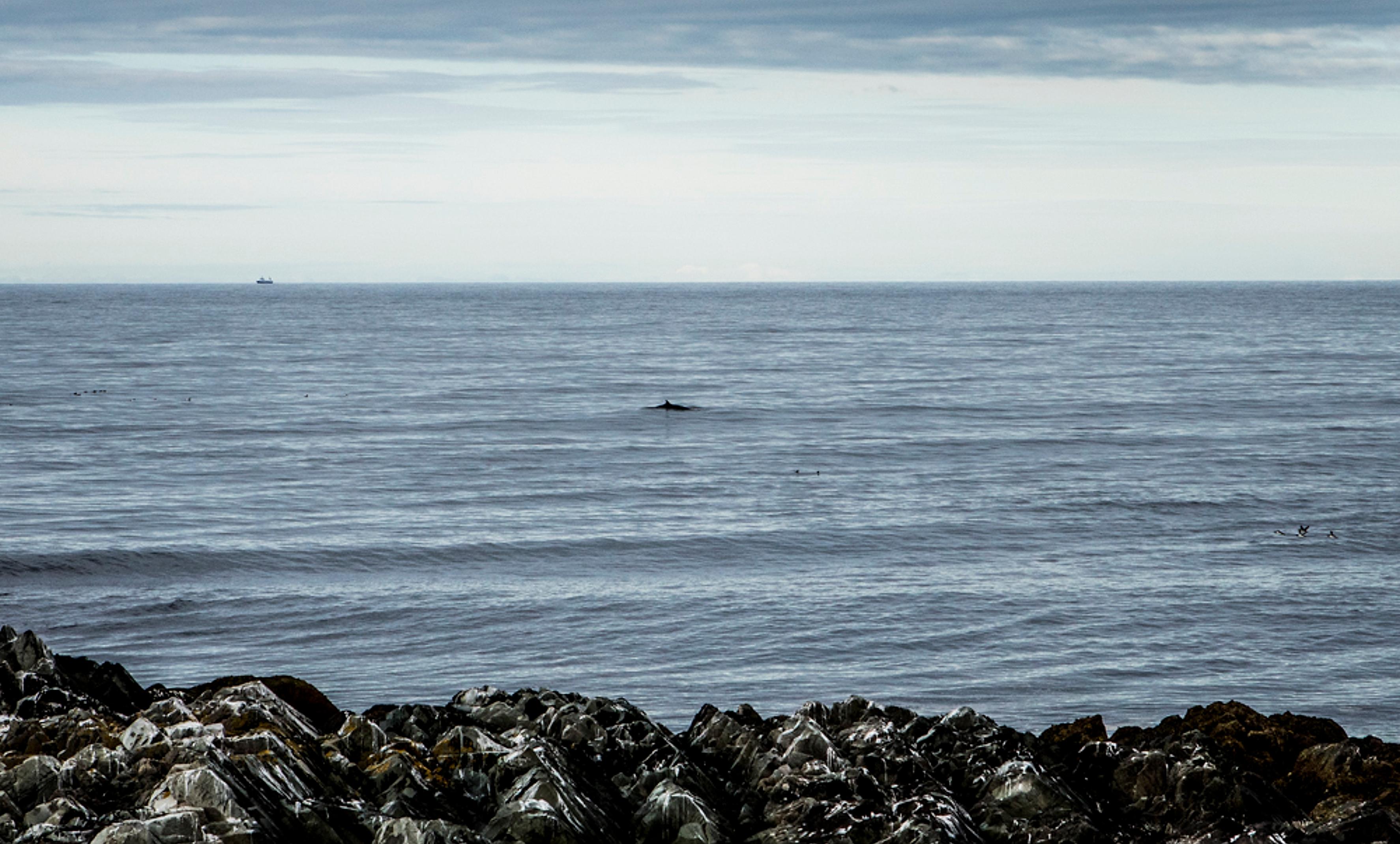 The Barents Sea seen from Hamningberg in Varanger, Northern Norway