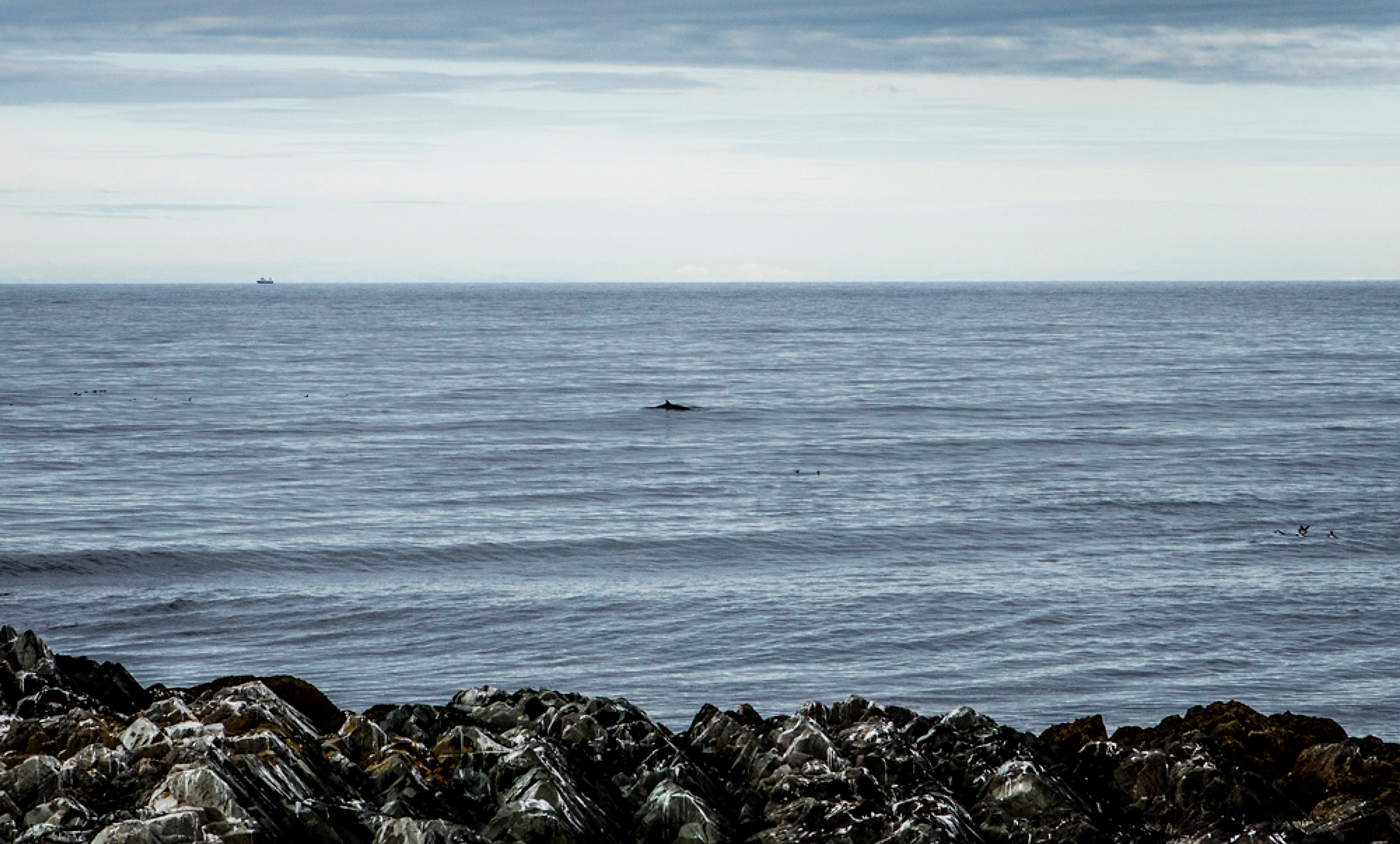The Barents Sea seen from Hamningberg in Varanger, Northern Norway