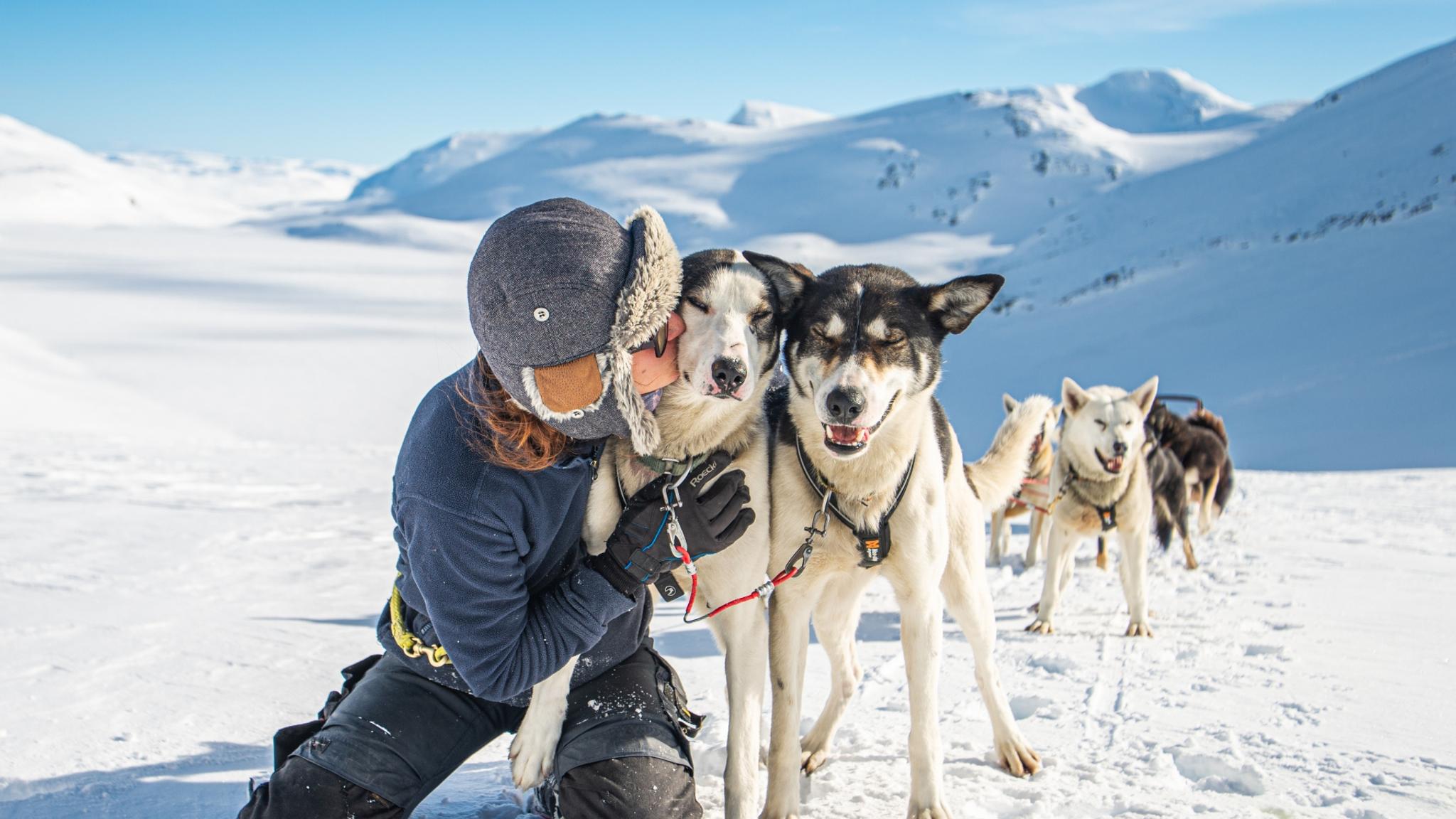 Girl with Huskies in Valdres