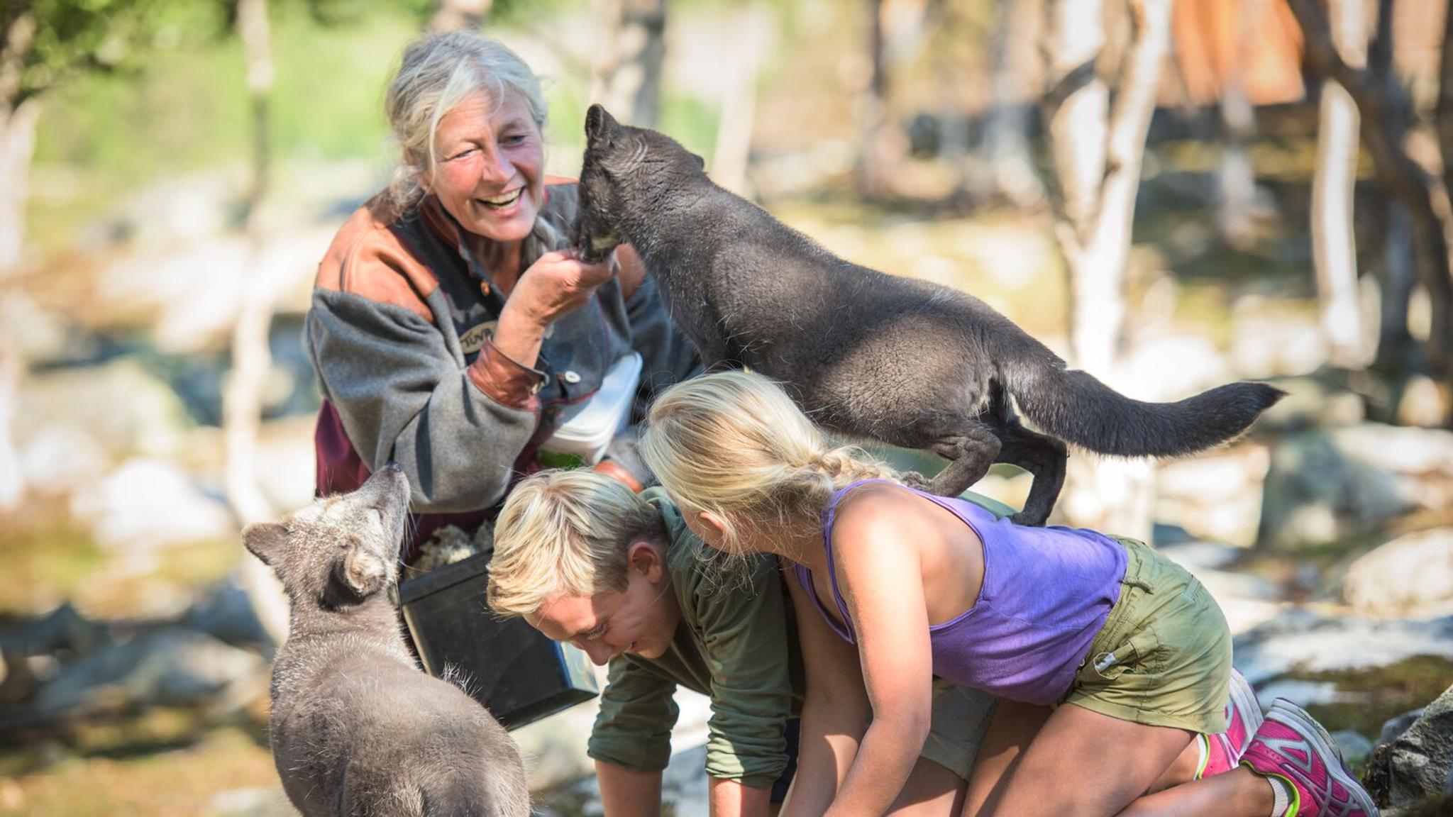 A family petting polar foxes at Langedrag in Norway