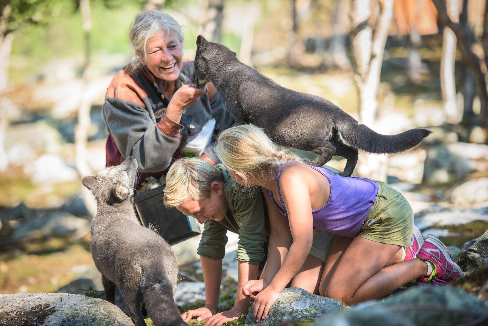 A family petting polar foxes at Langedrag in Norway