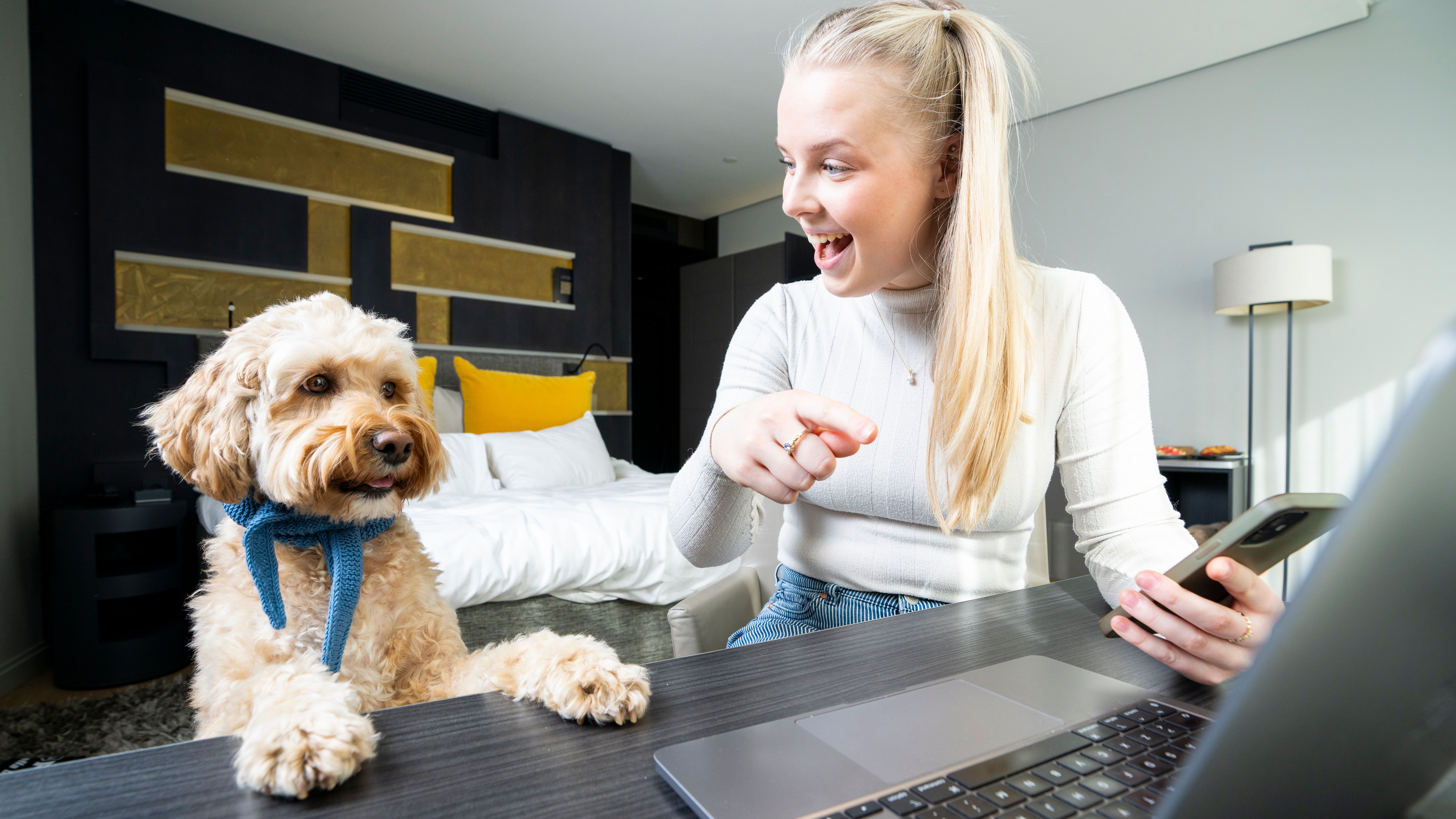 Dog and woman planning their trip on a dog room at The Thief in Oslo, Eastern Norway