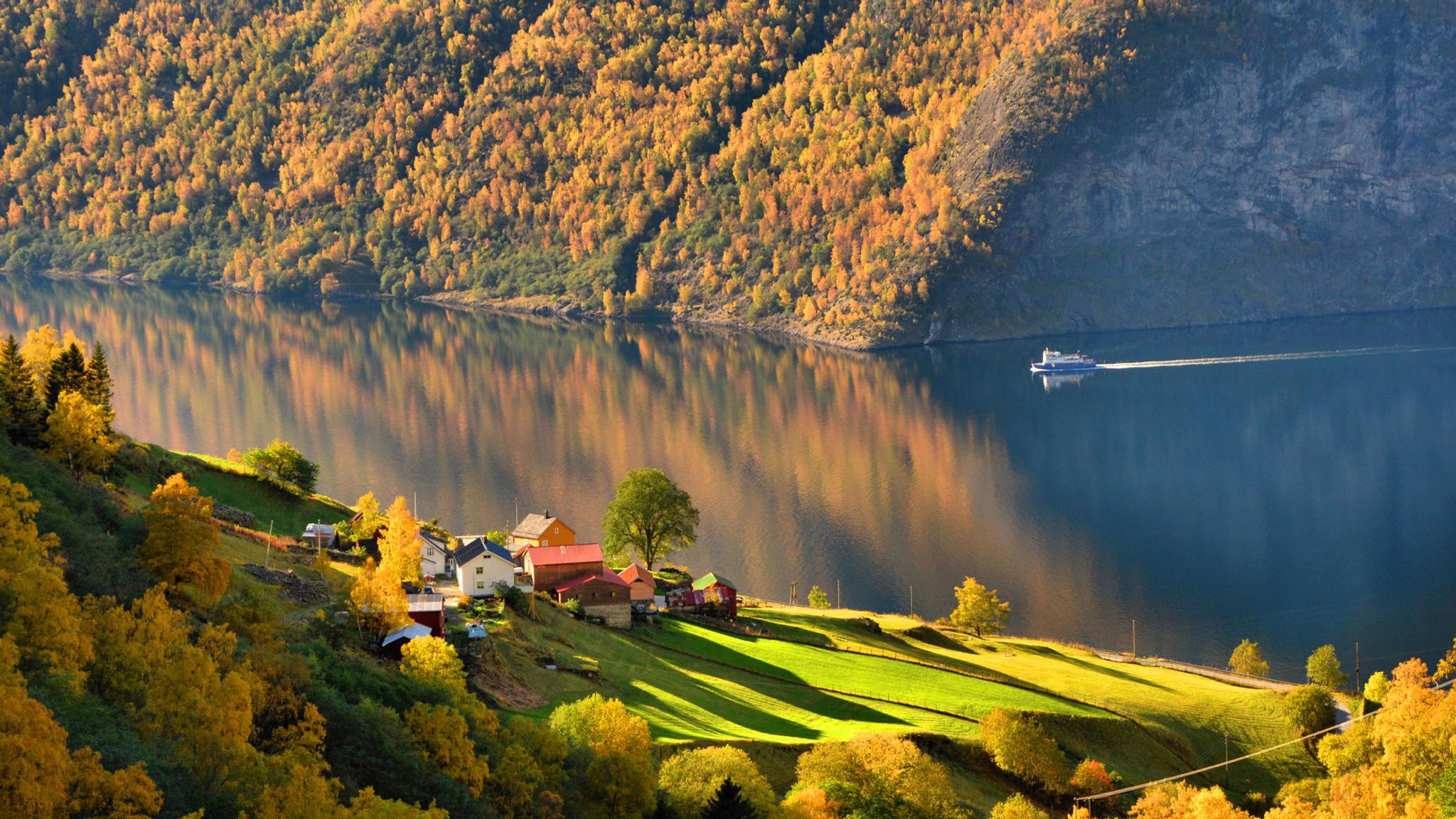 Belle expérience sur les rives de l’Aurlandsfjord à l'automne – paysage de fjord aux nuances automnales