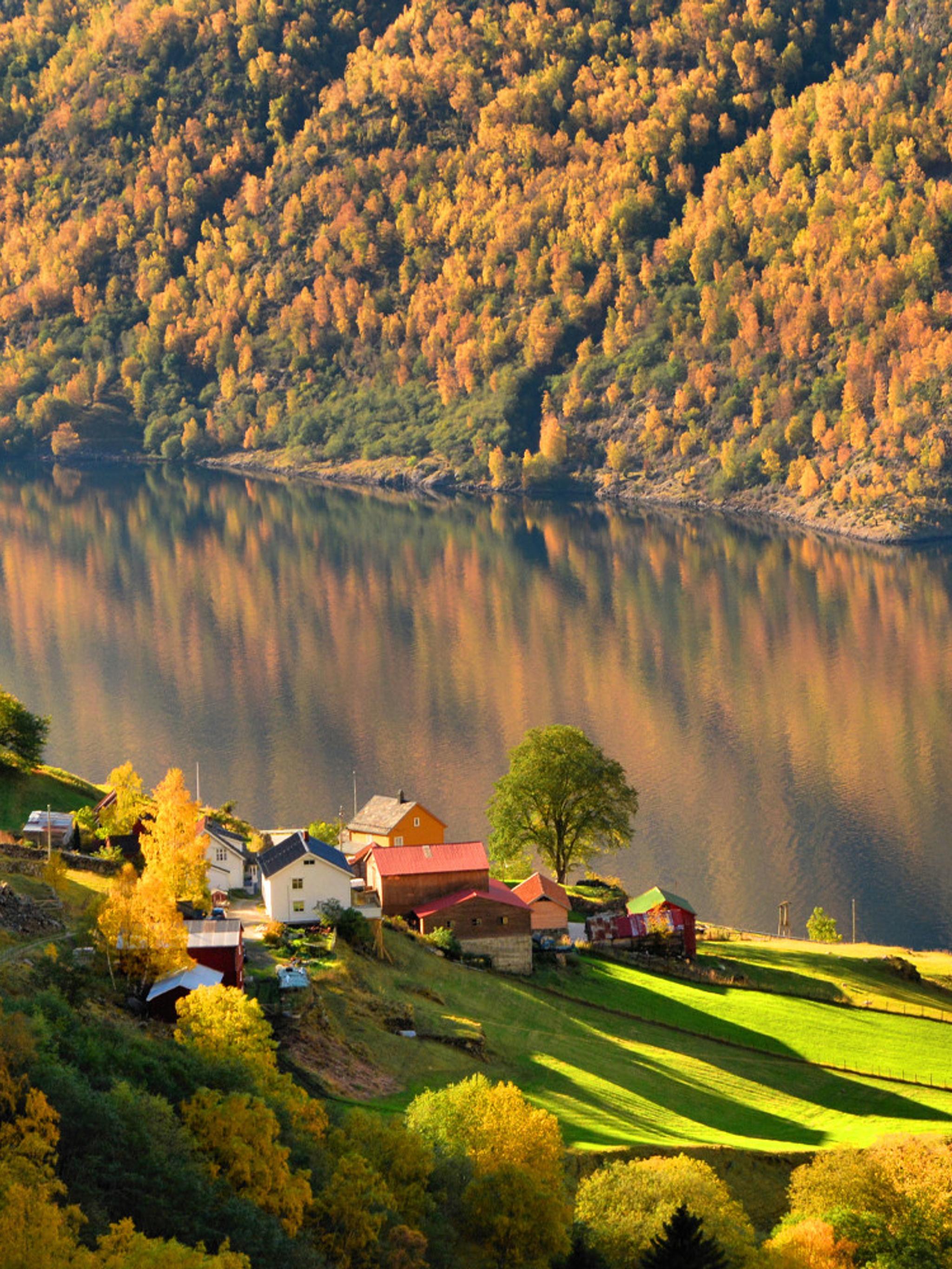 Una meravigliosa esperienza autunnale sull’Aurlandsfjord - il paesaggio dei fiordi nei colori autunnali