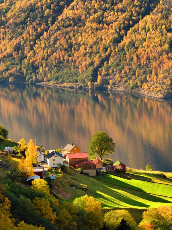 A wonderful autumn experience by the Aurlandsfjord - a fjord landscape in autumn colours
