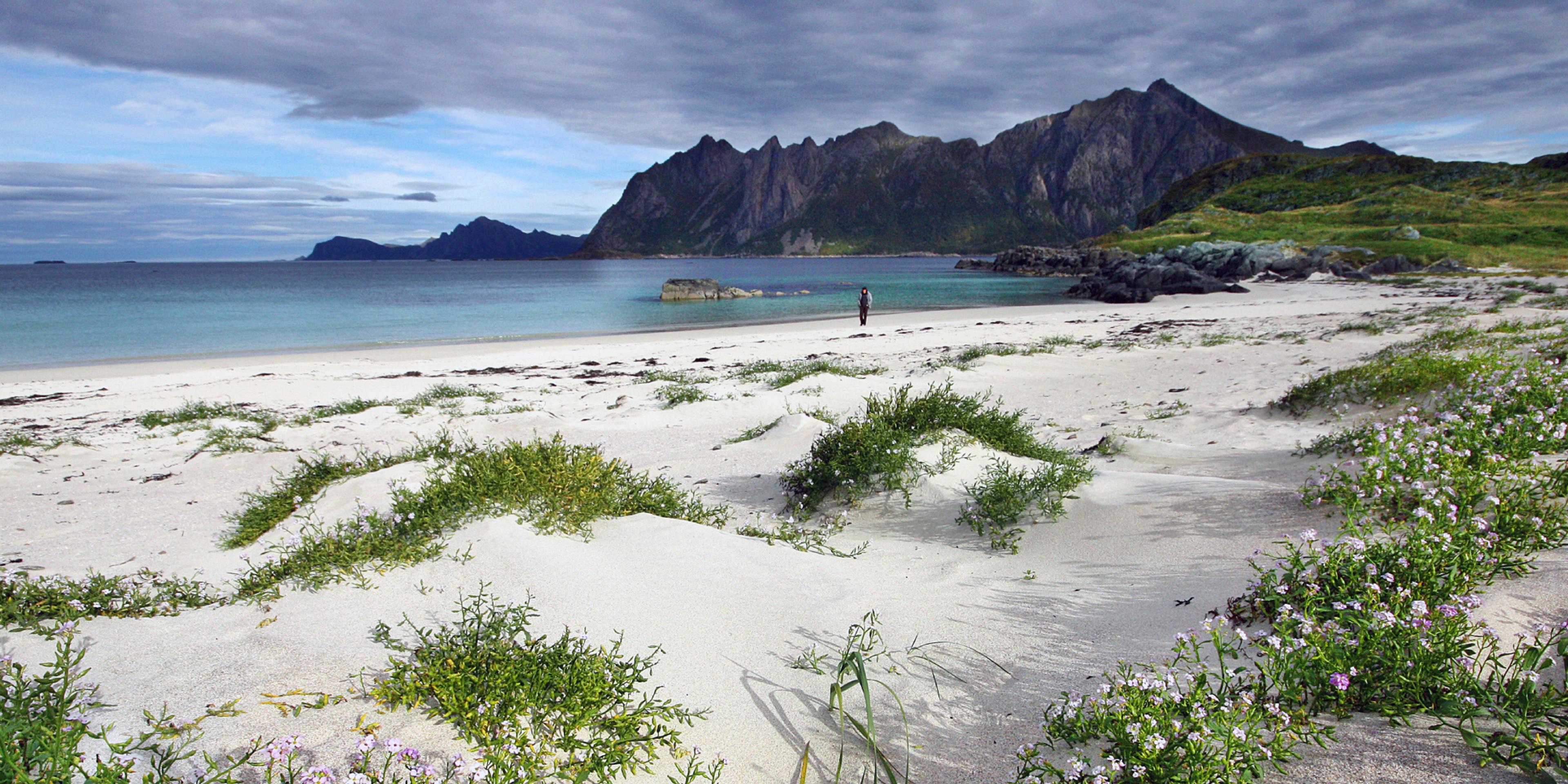 A person on the beach by the fishing village Hovden in Bø in Vesterålen, Northern Norway
