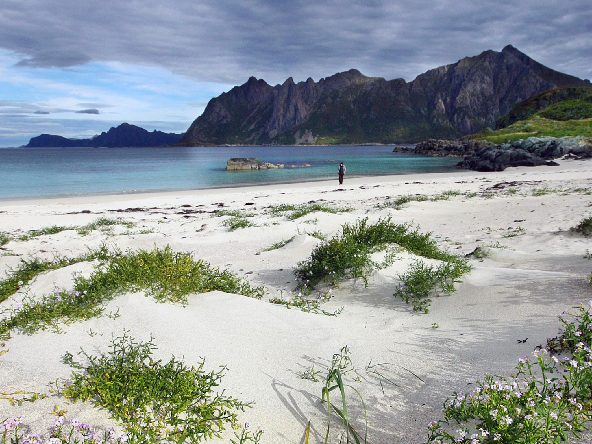 A person on the beach by the fishing village Hovden in Bø in Vesterålen, Northern Norway