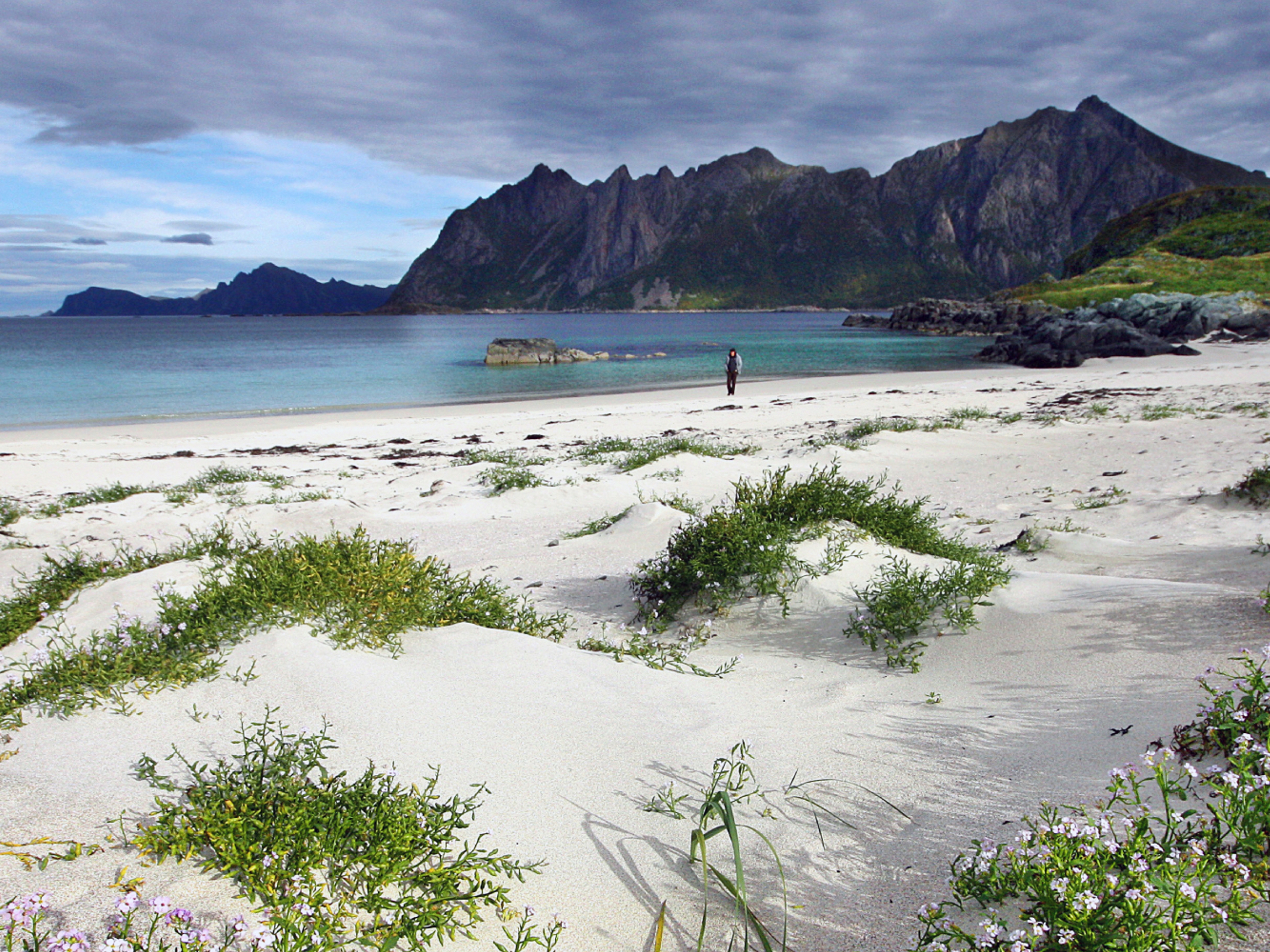 A person on the beach by the fishing village Hovden in Bø in Vesterålen, Northern Norway