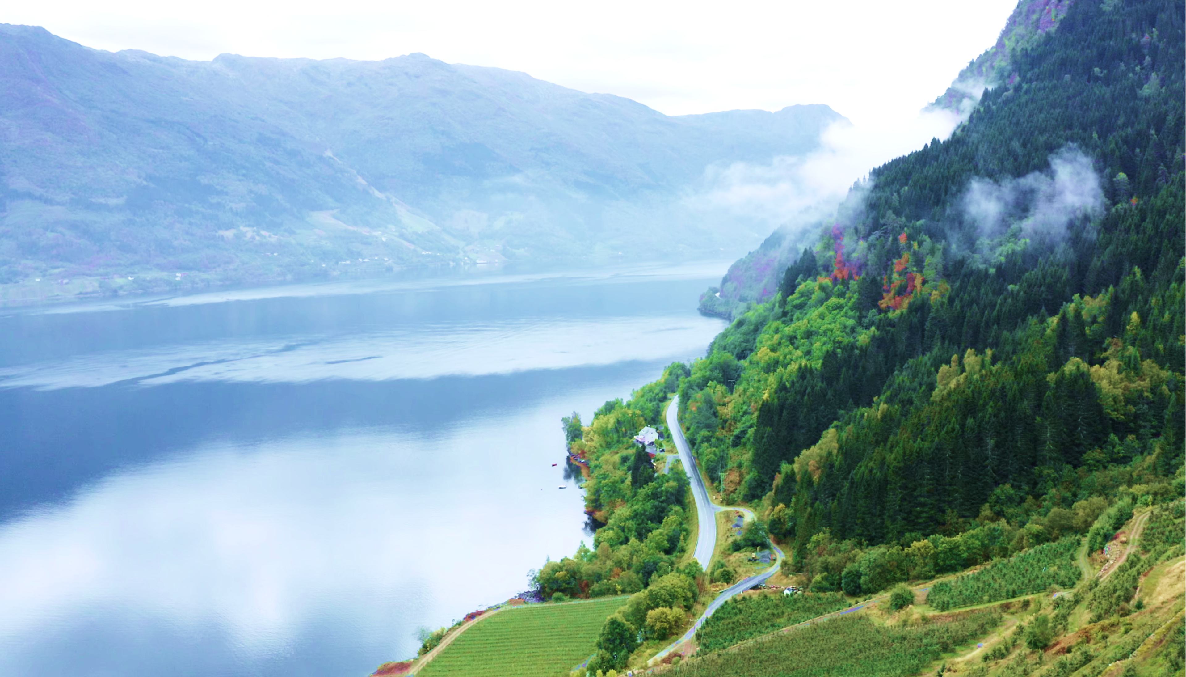 View of the Hardangerfjord