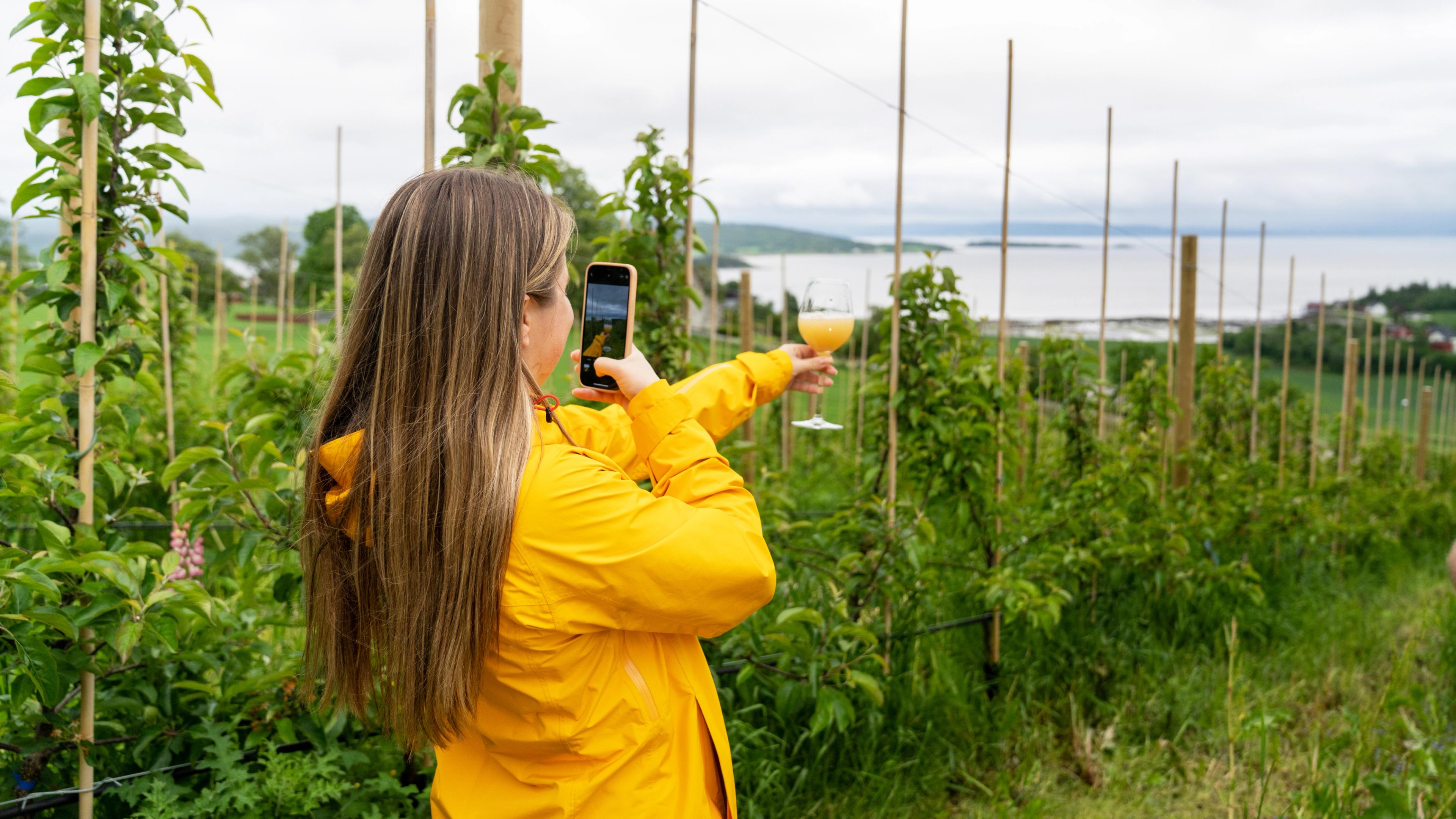 A woman enjoying a glass of apple juice in the world's northernmost commercial apple orchard, Inderøy Mosteri, at Inderøya