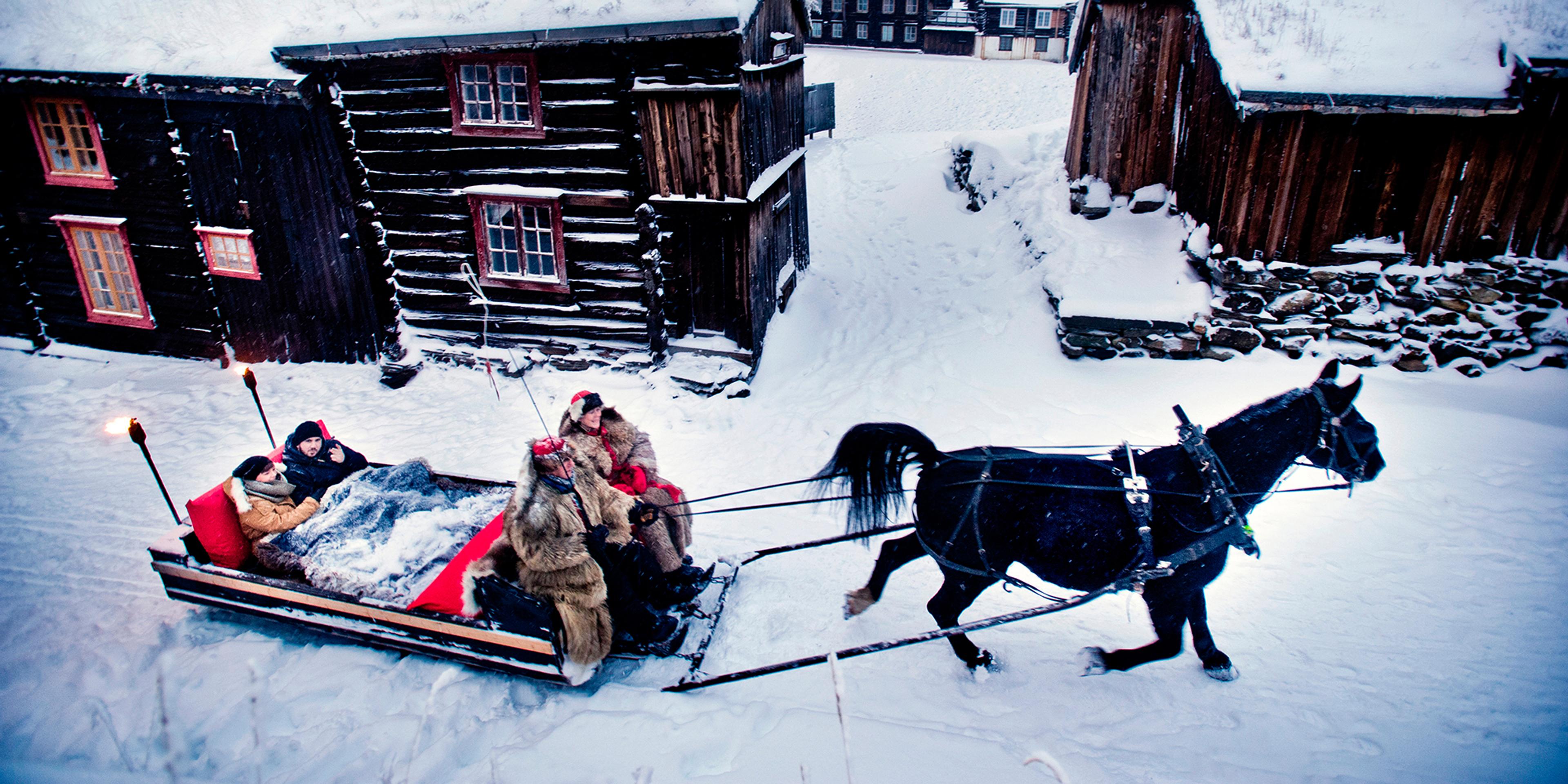 Koselig hest og slede-kjøring - jueferie på Røros i Trøndelag