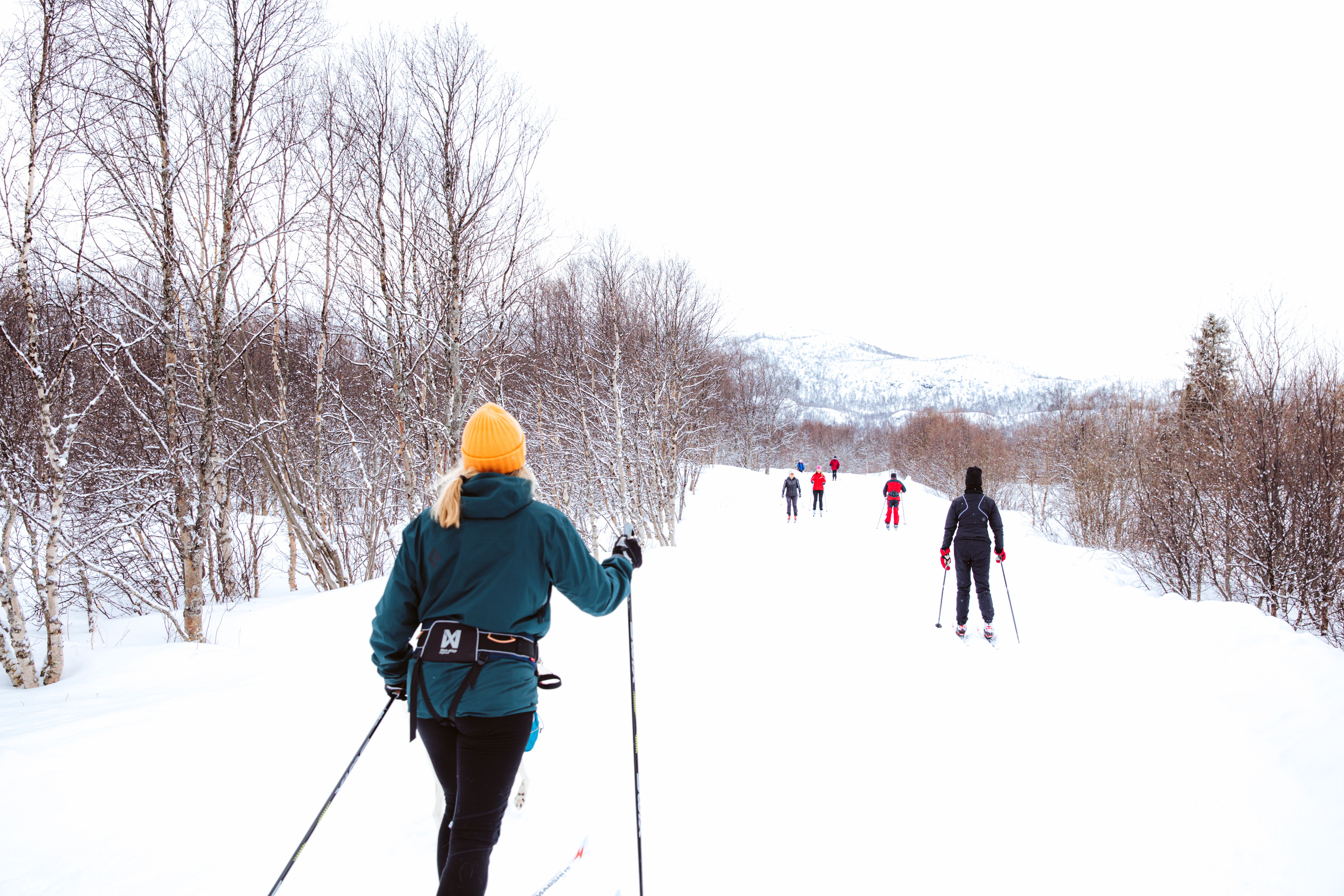 Cross-country skiing in Geilo, Eastern Norway