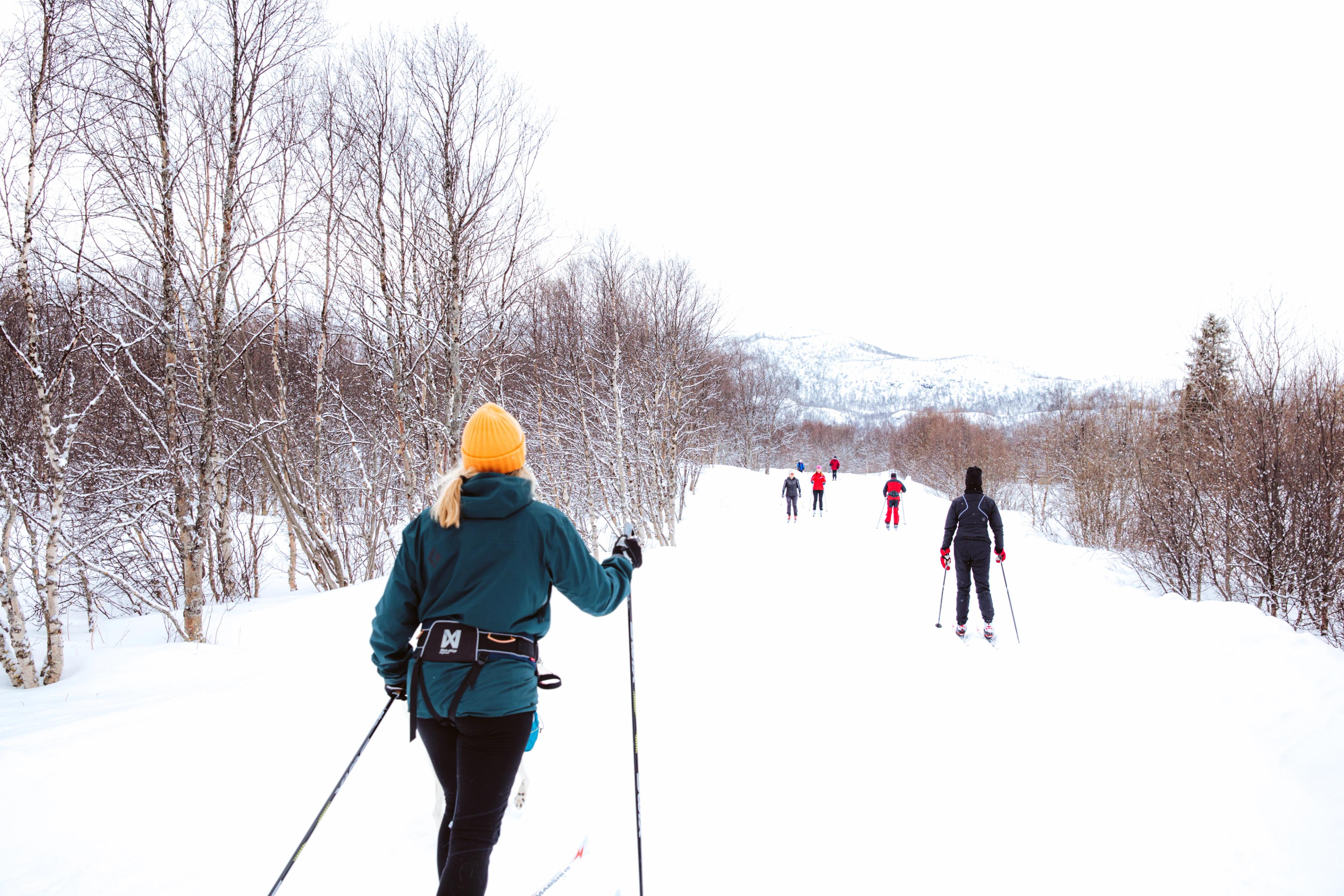 Cross-country skiing in Geilo, Eastern Norway
