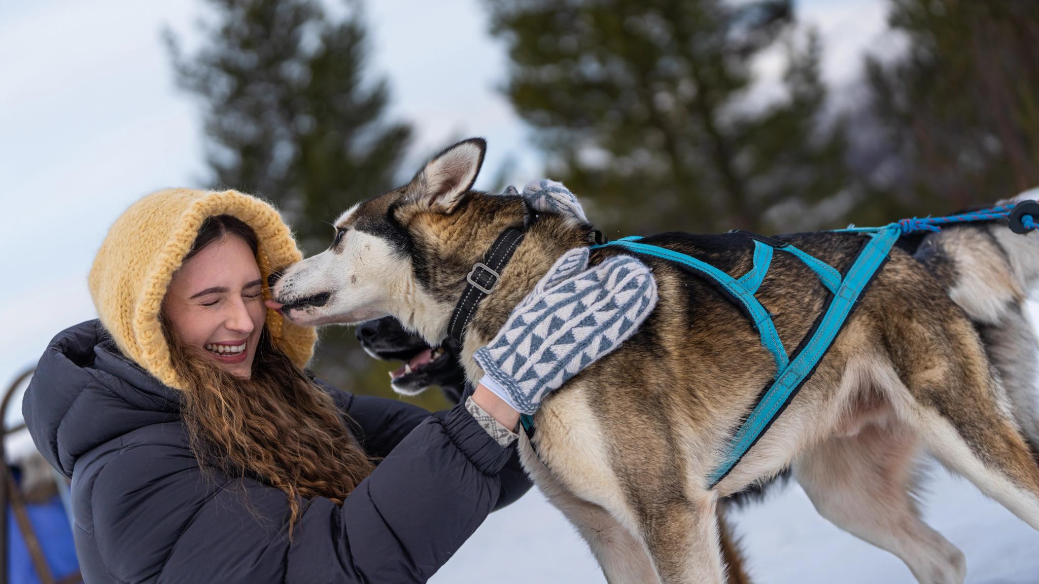 A woman cuddling with a sled dog at Geilo in the winter.