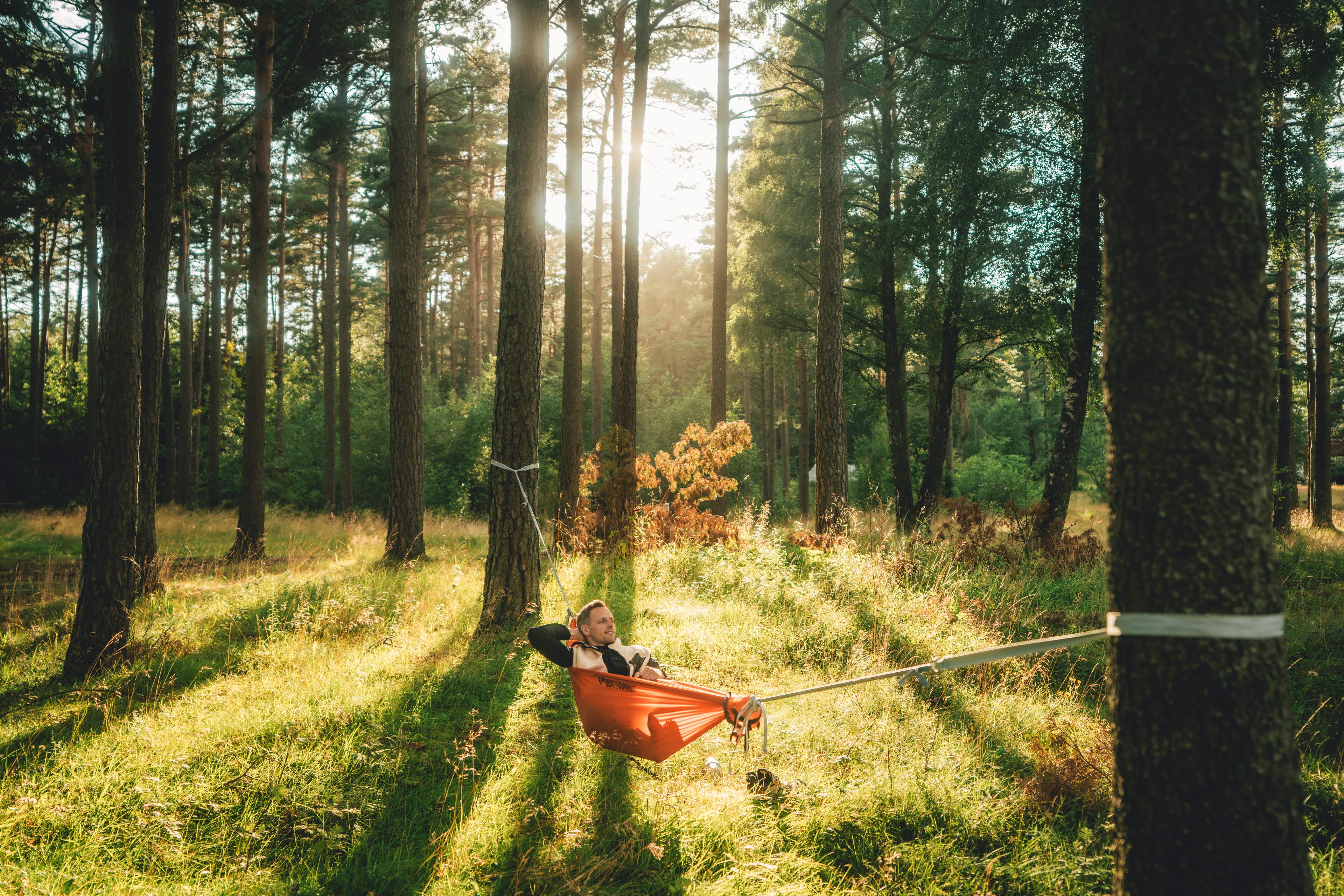 Hammocking in Southern Norway in August