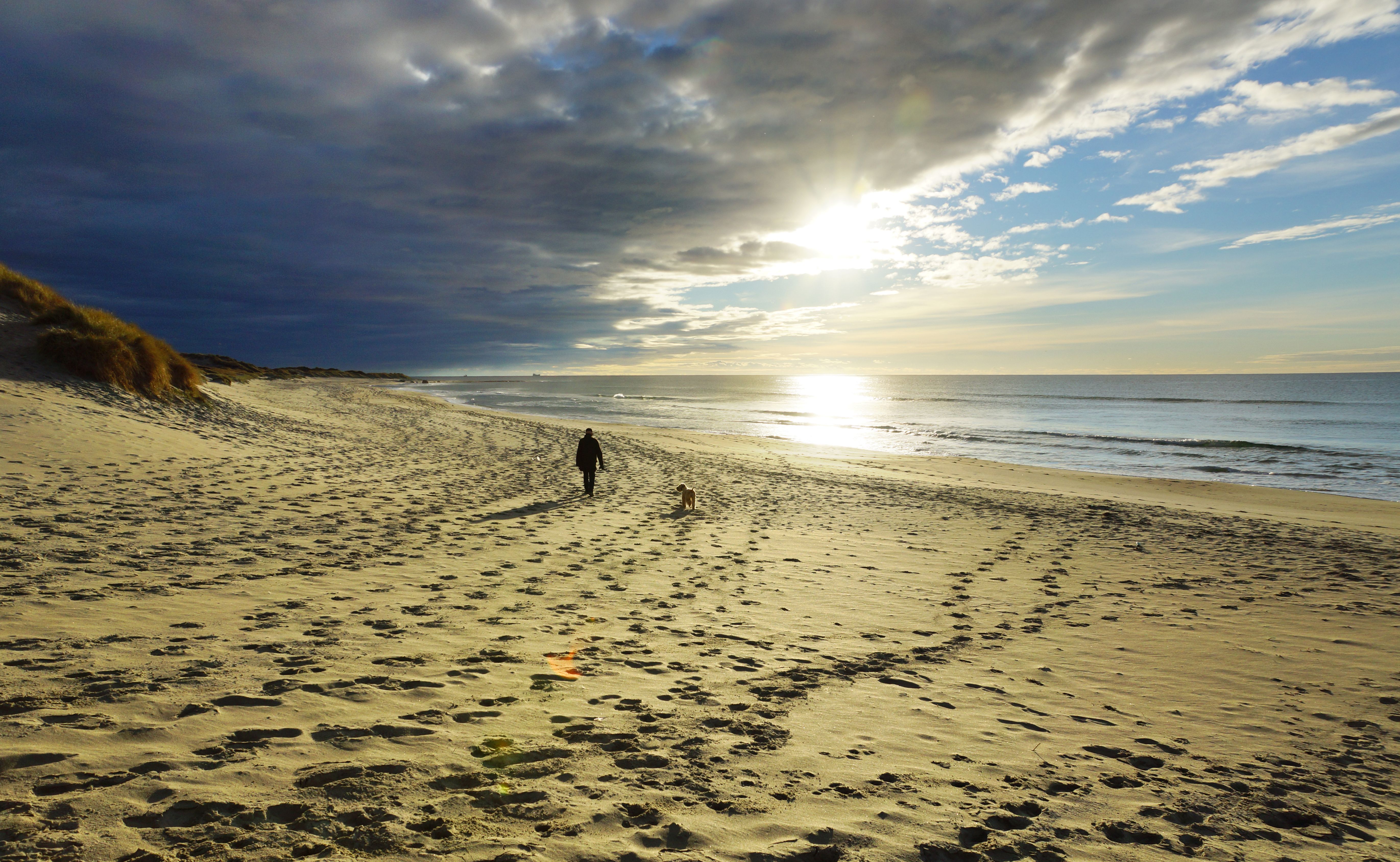 A person walking their dog on Orrestranda beach near Norwegian Scenic Route Jæren in Fjord Norway
