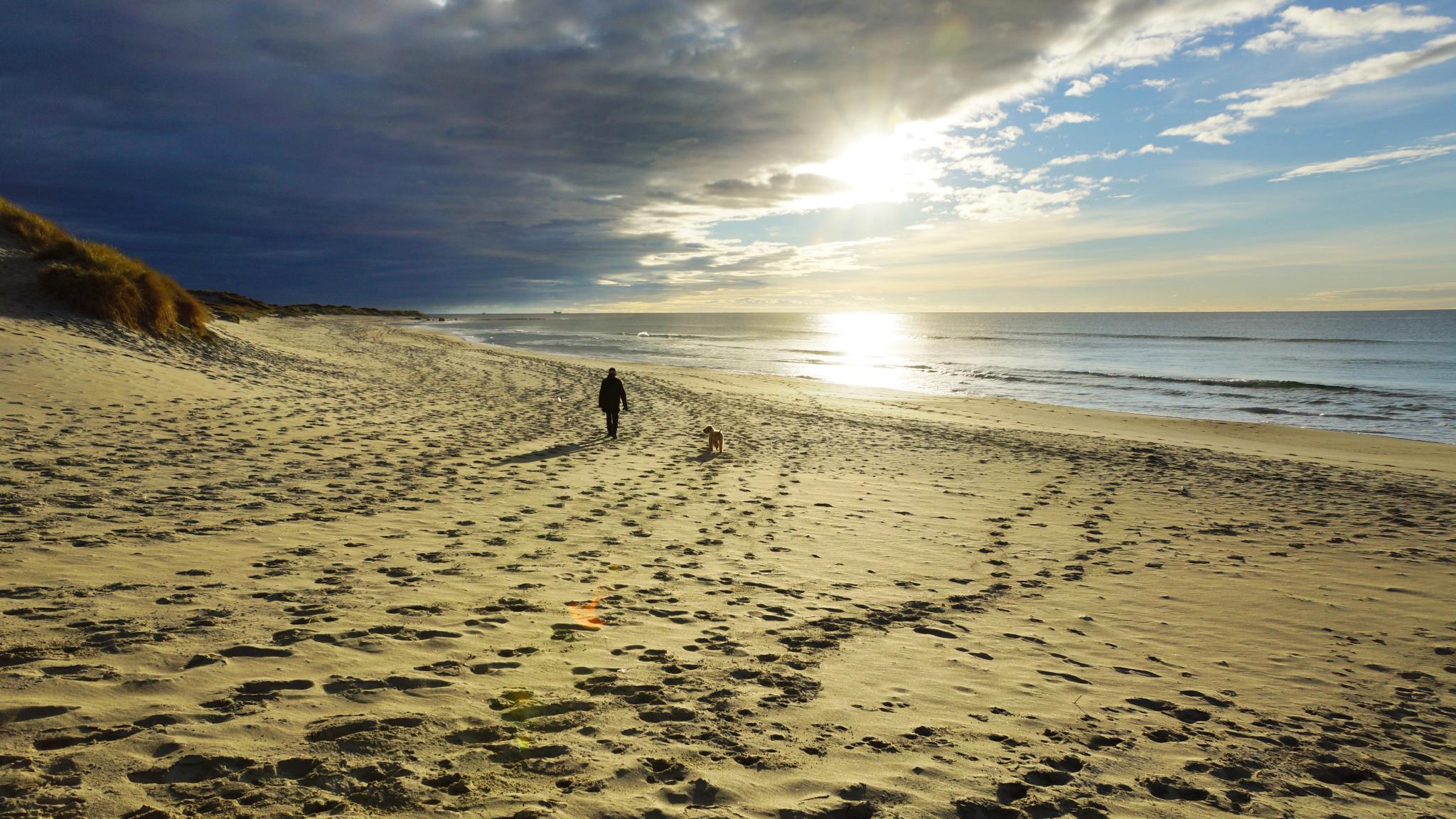 A person walking their dog on Orrestranda beach near Norwegian Scenic Route Jæren in Fjord Norway