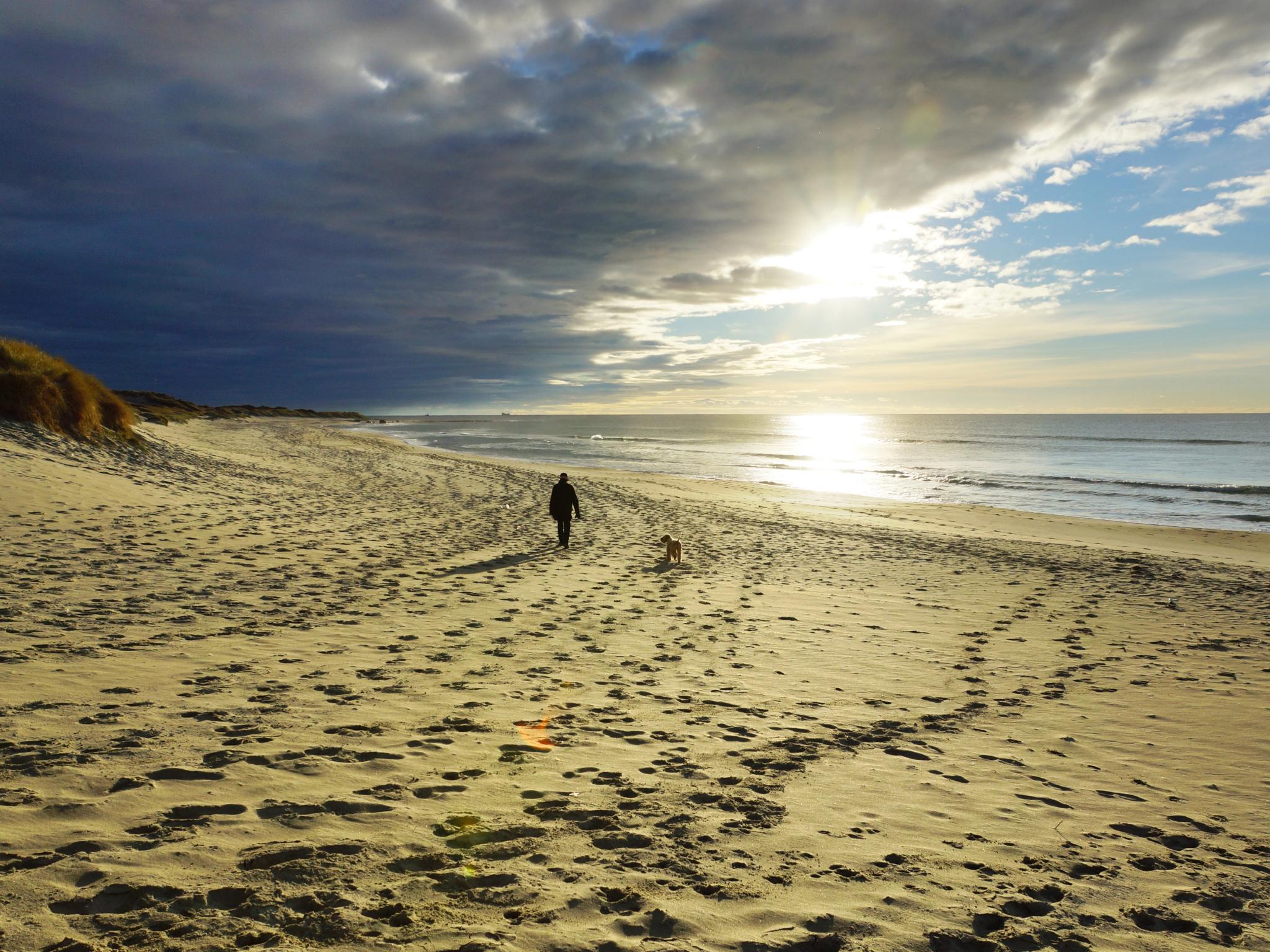 A person walking their dog on Orrestranda beach near Norwegian Scenic Route Jæren in Fjord Norway