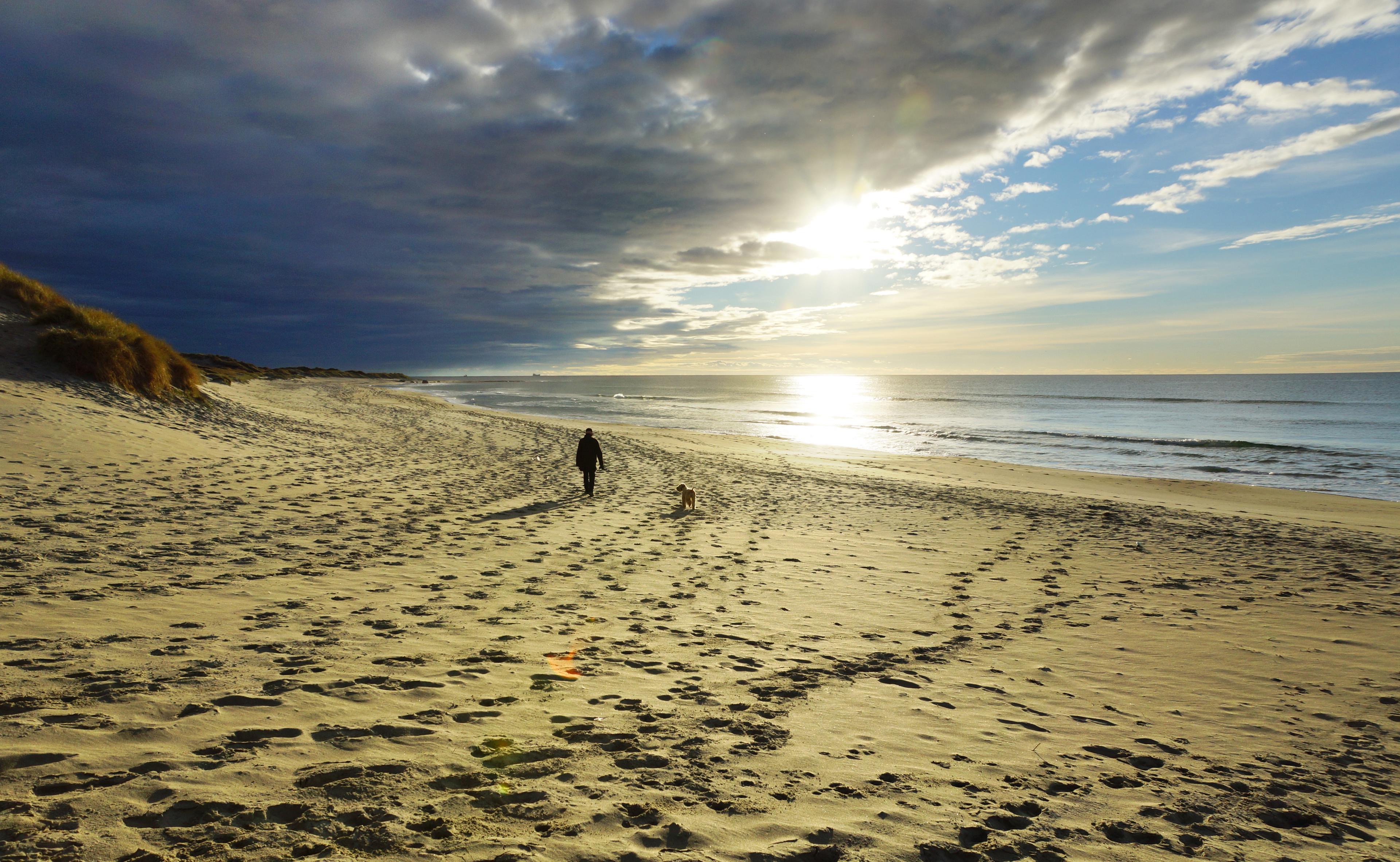A person walking their dog on Orrestranda beach near Norwegian Scenic Route Jæren in Fjord Norway